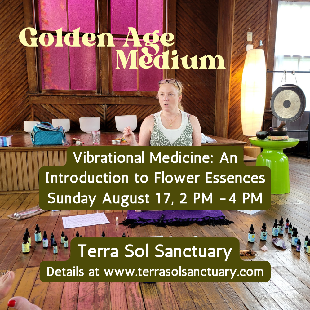 Vibrational Medicine: An Introduction to Flower Essences