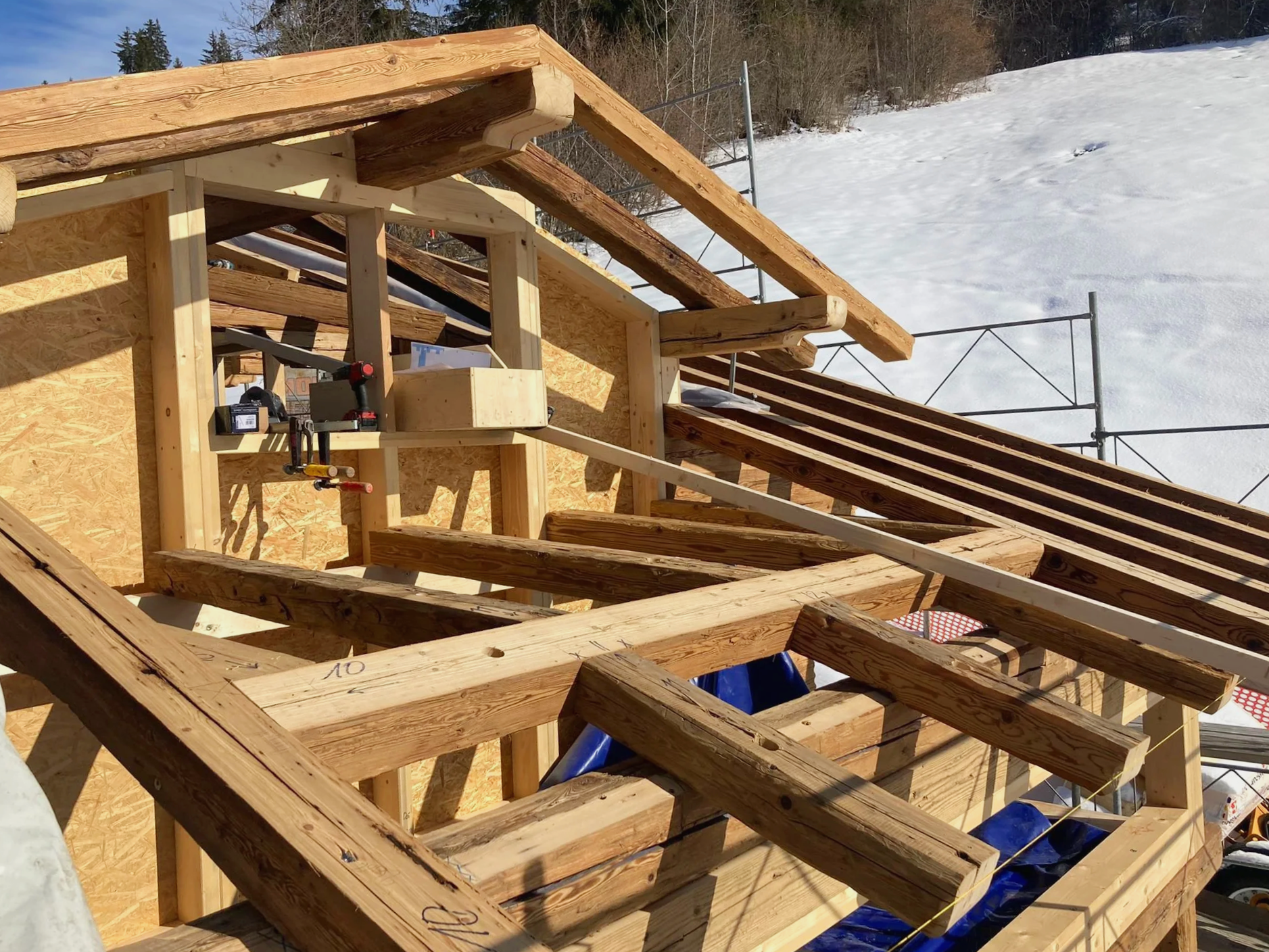 Dachstühle und Dachgauben in Frankfurt am Main 