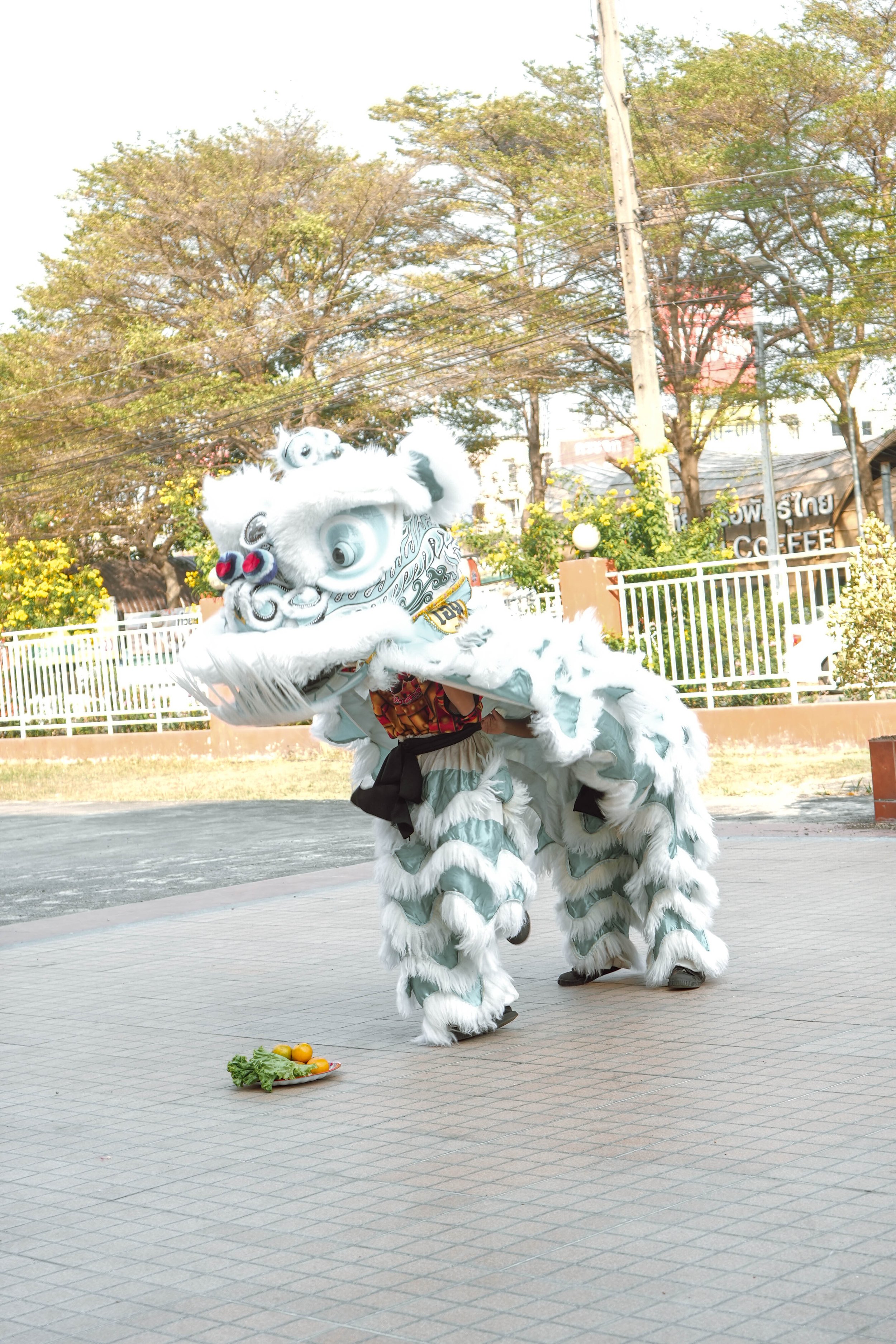 DSC07056.jpg