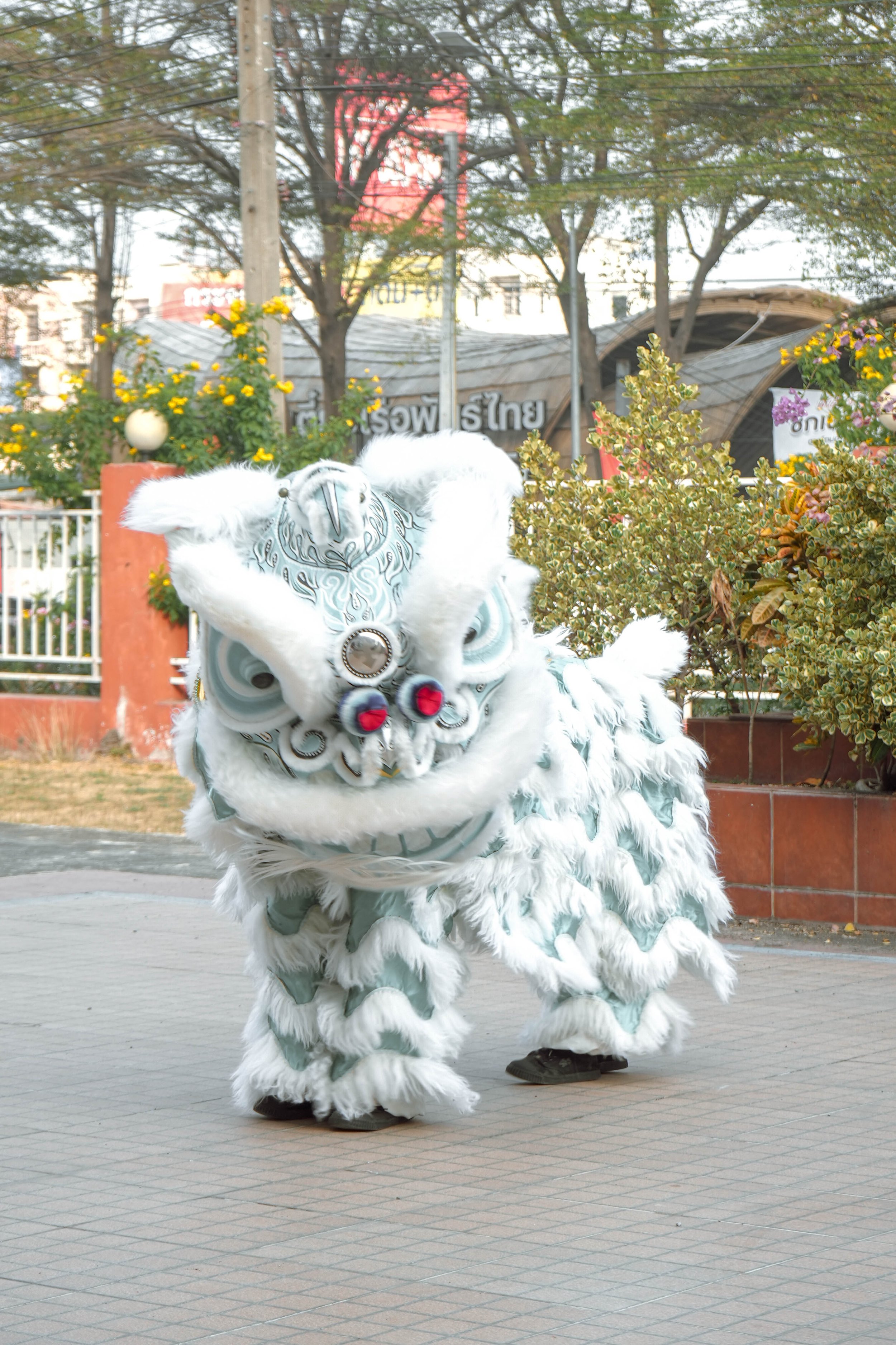 DSC07041.jpg