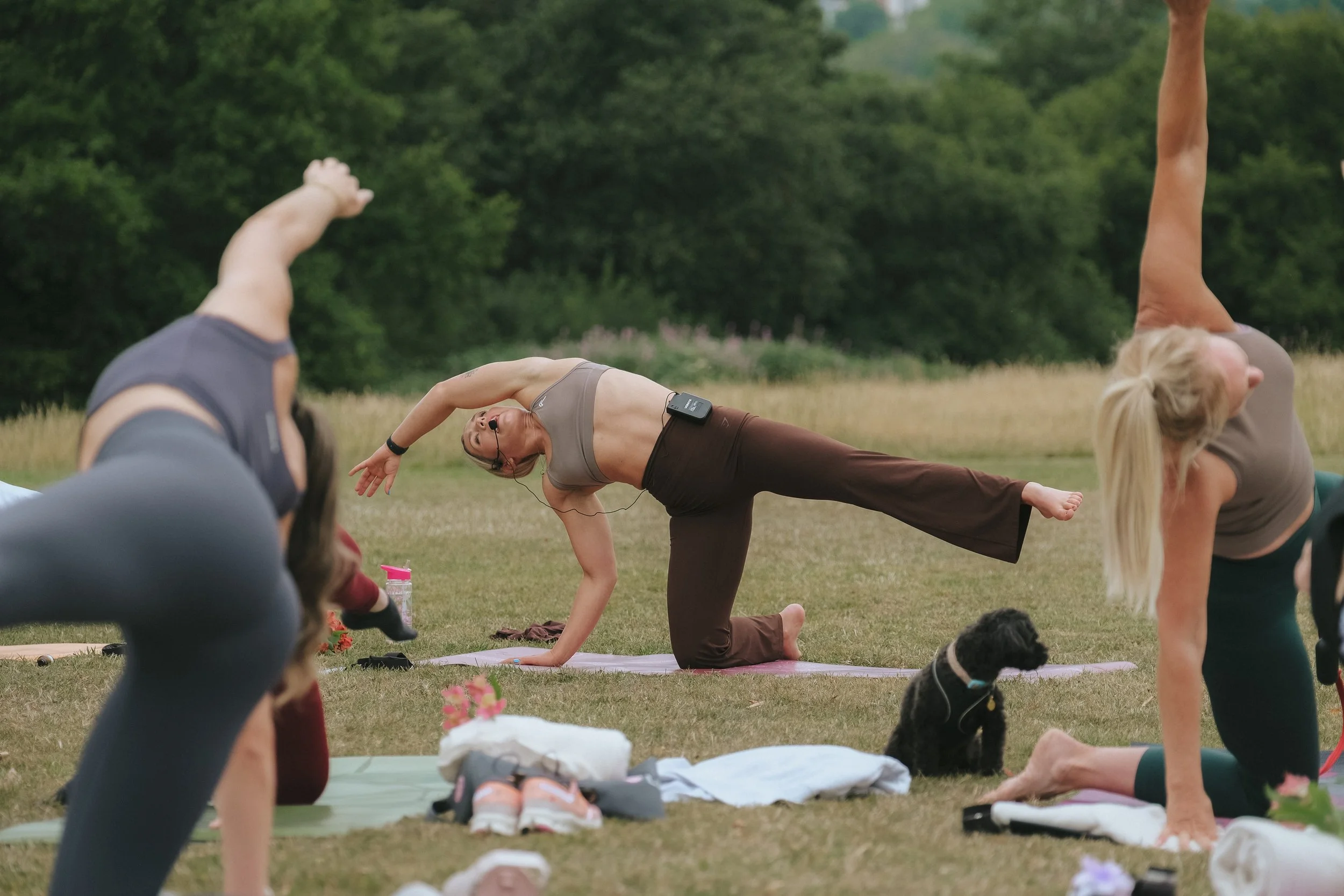 People practicing yoga outdoors in a grassy field with trees in the background, some in side plank poses, and a black dog sitting nearby.