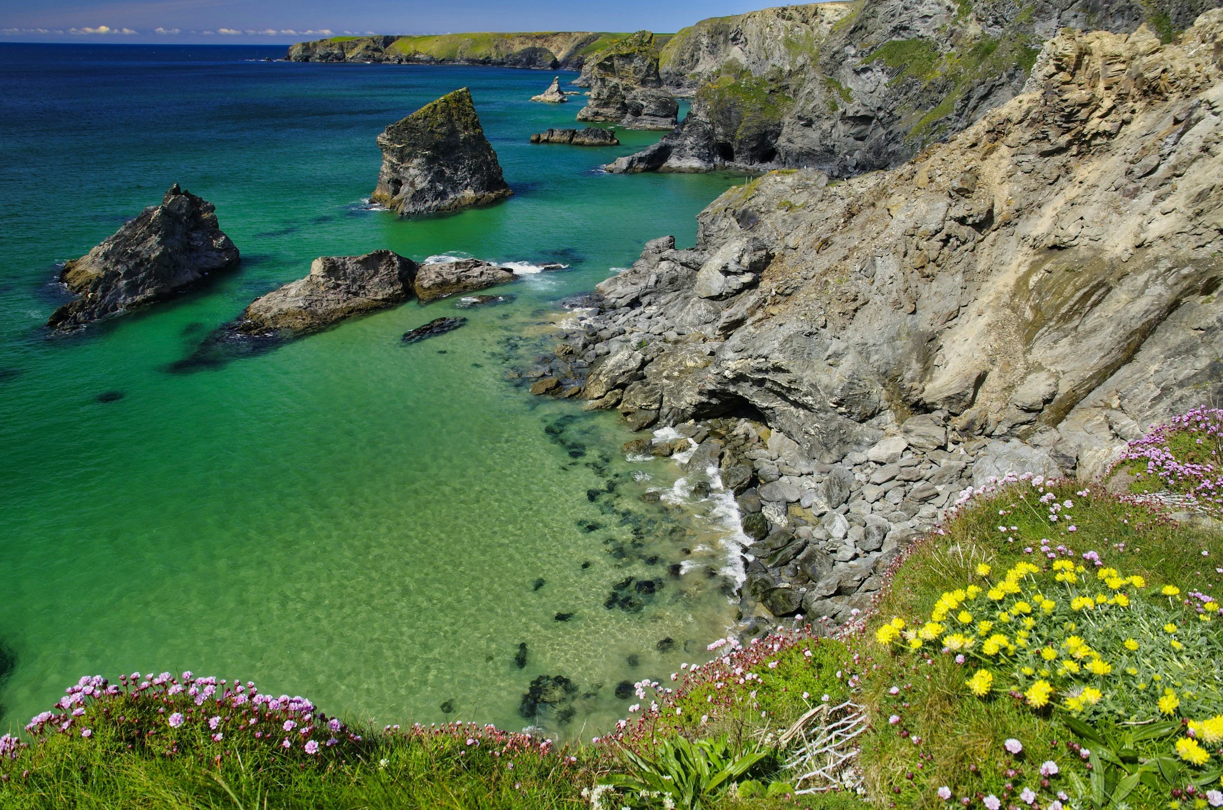 Cliffside view of a greenish beach with large rocks in the water, colorful flowers at the foreground, and a distant blue ocean under a partly cloudy sky.