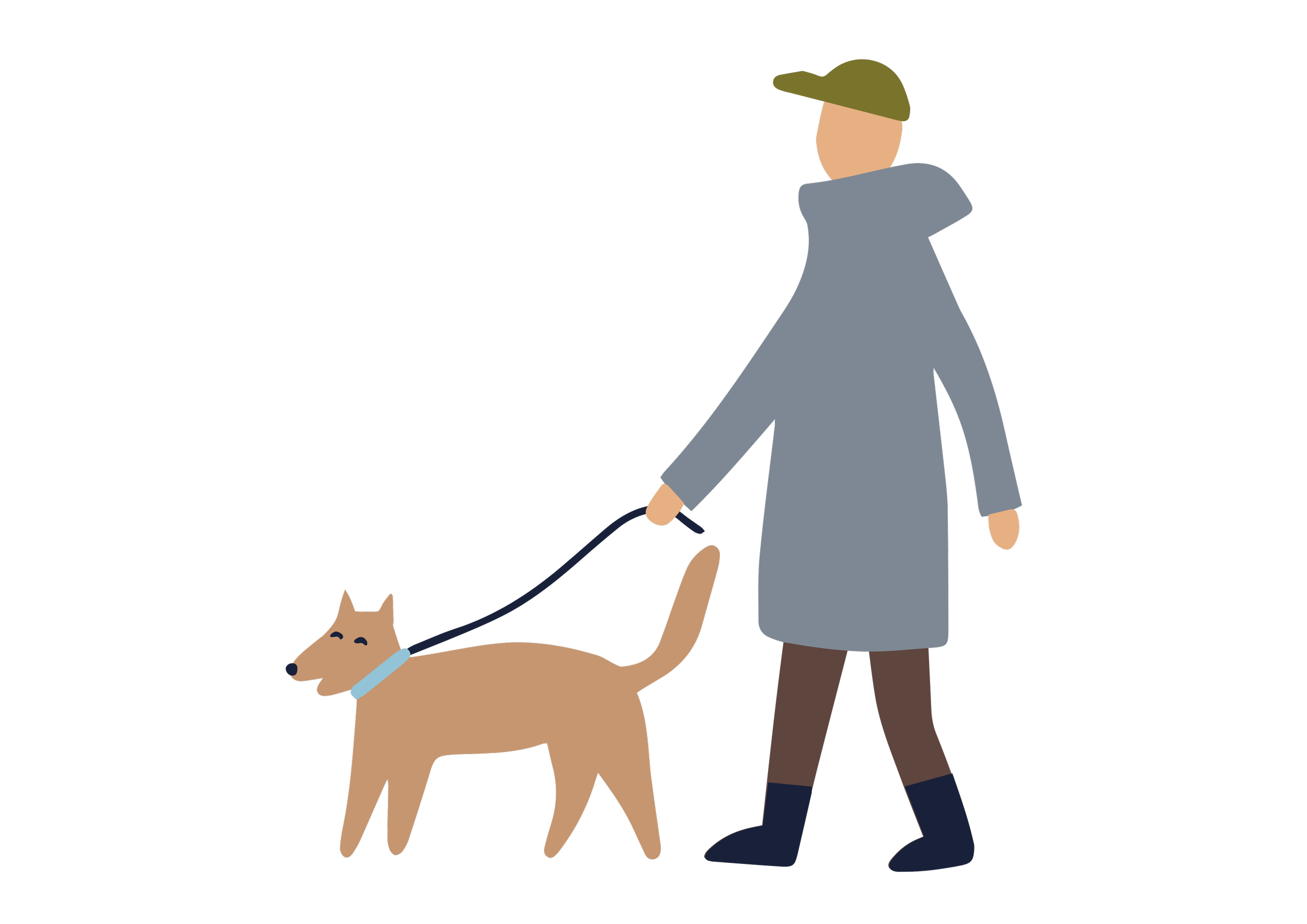 A person in a gray coat, brown pants, and black boots, wearing a green hat, walking a brown dog on a leash, with a blue square background to the right.