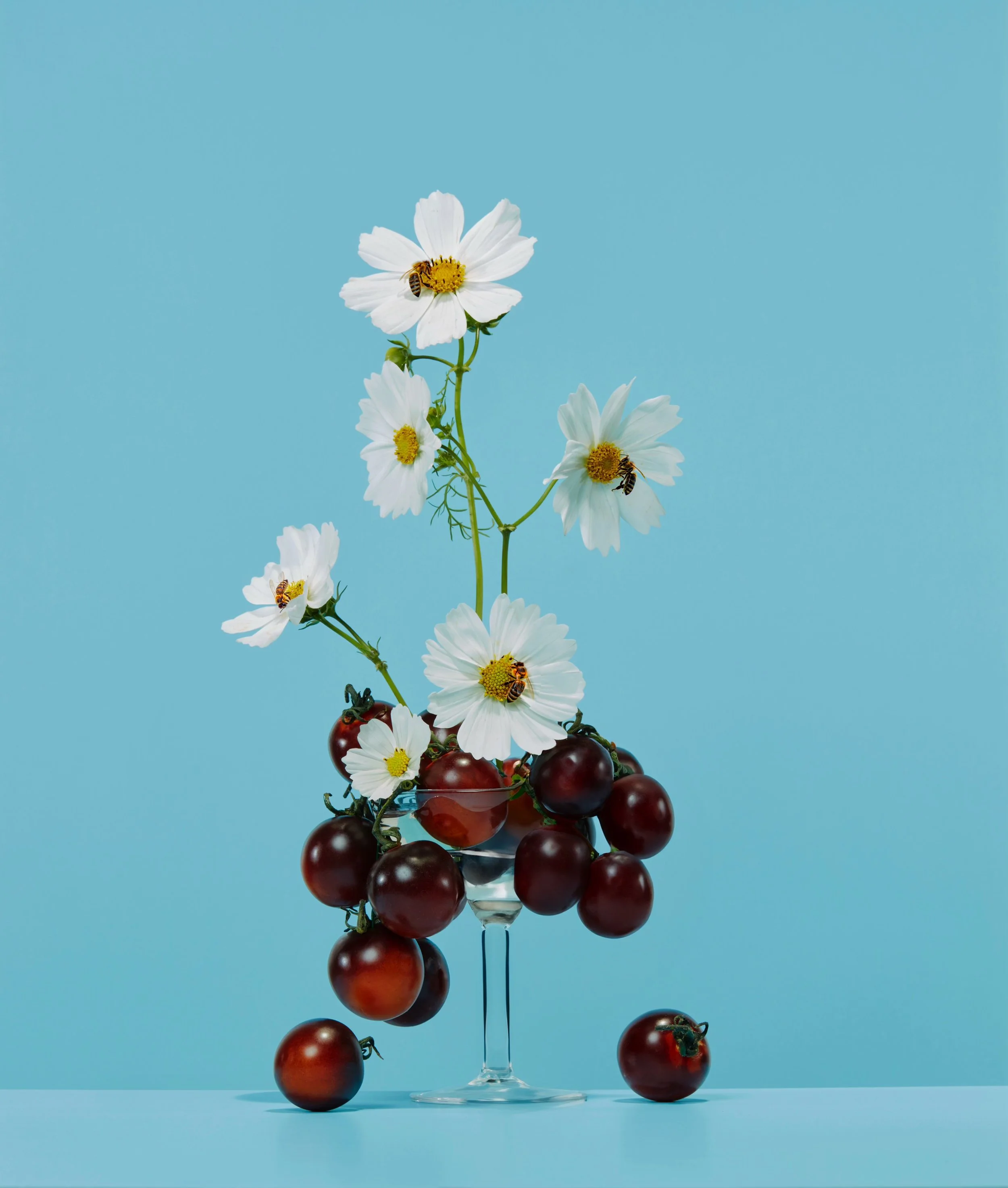 Honey bee flowers3391.jpeg