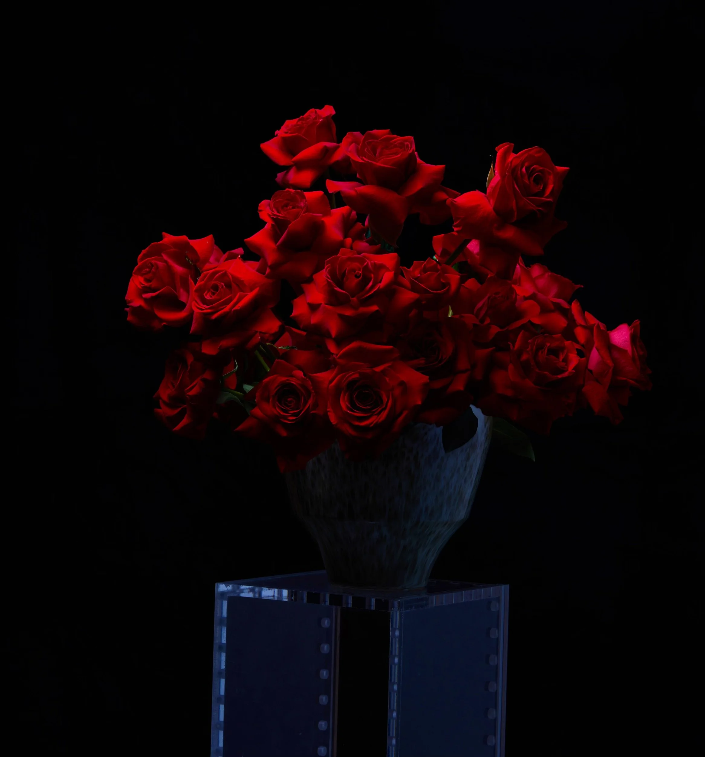 Garage flowers 23502.jpeg