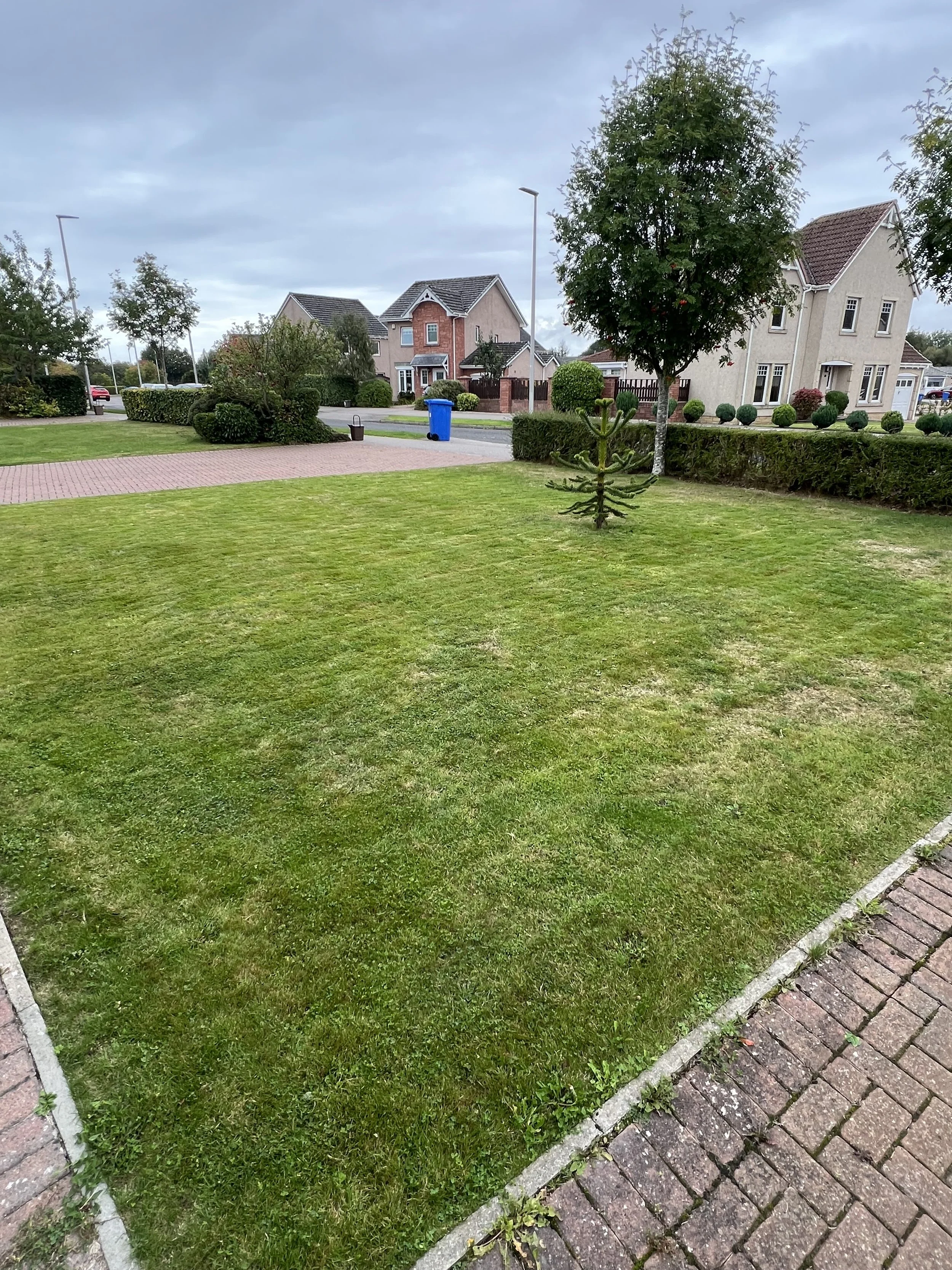 I provide a full range of gardening services in Montrose, South Aberdeenshire and North Angus. If you need a gardener in Hillside, Oak & Sparrow is the best company to contact.