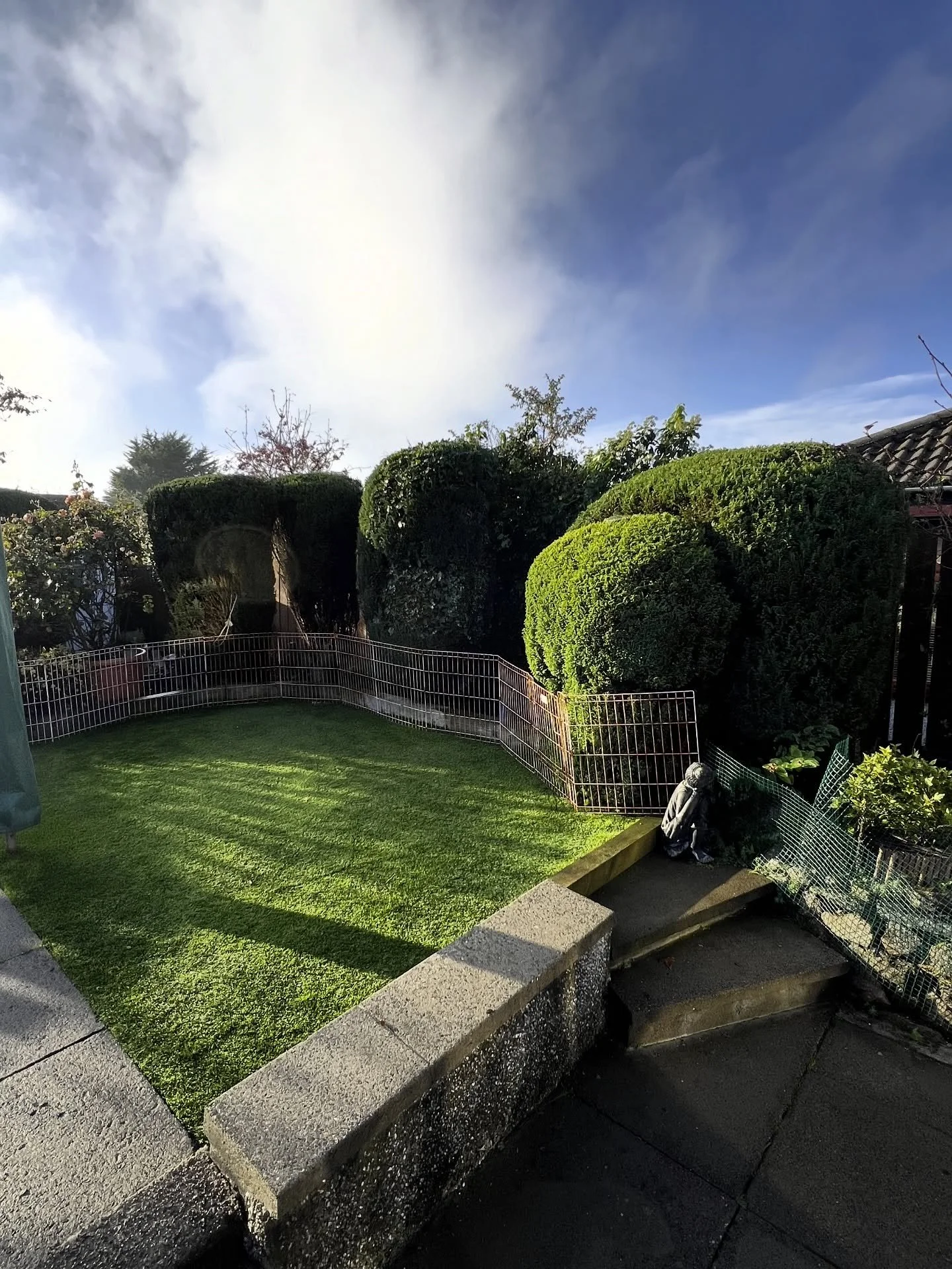 Recent garden tidy up and trim for a lovely customer!