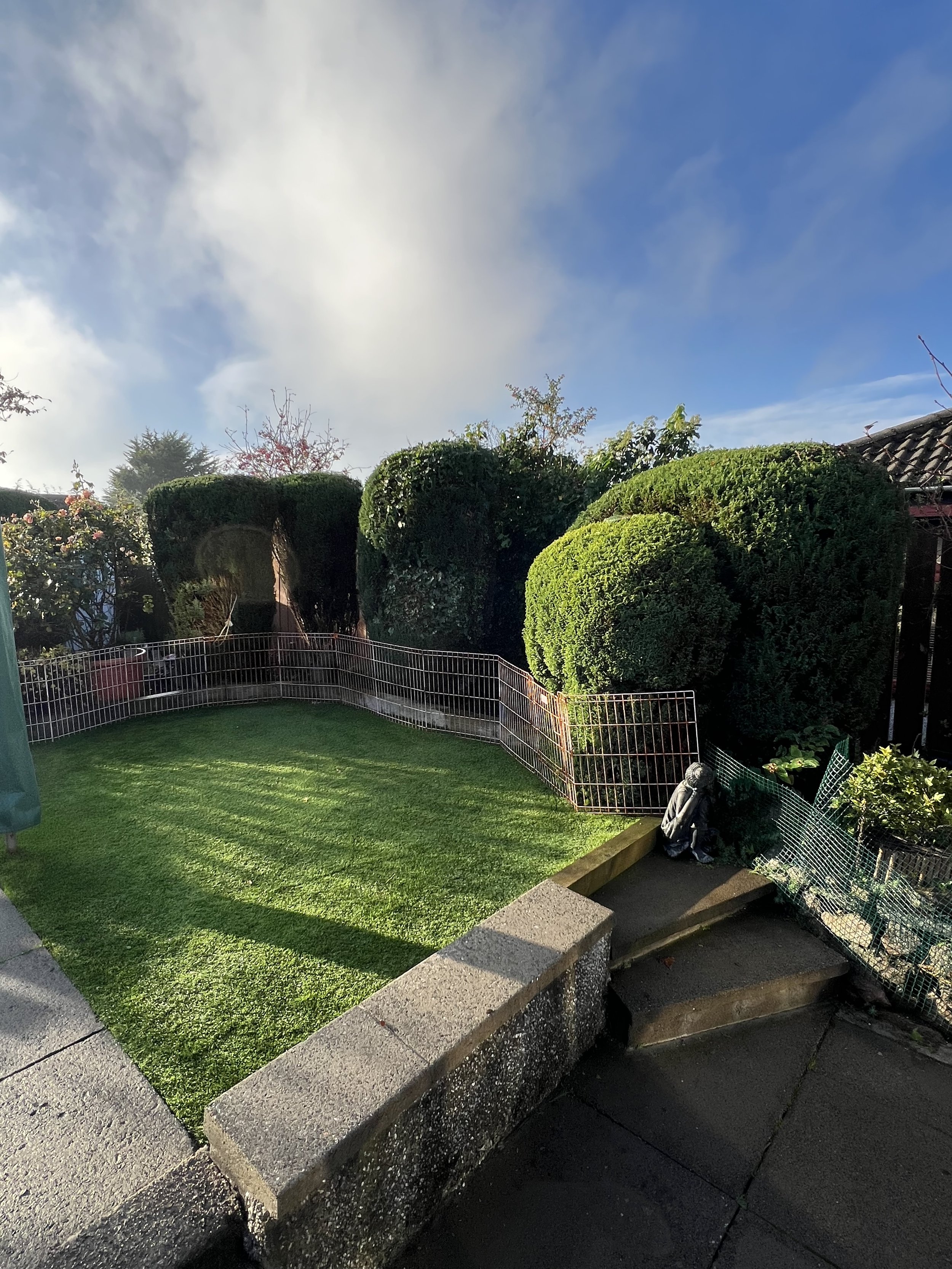 Portlethen – Regular Garden Maintenance