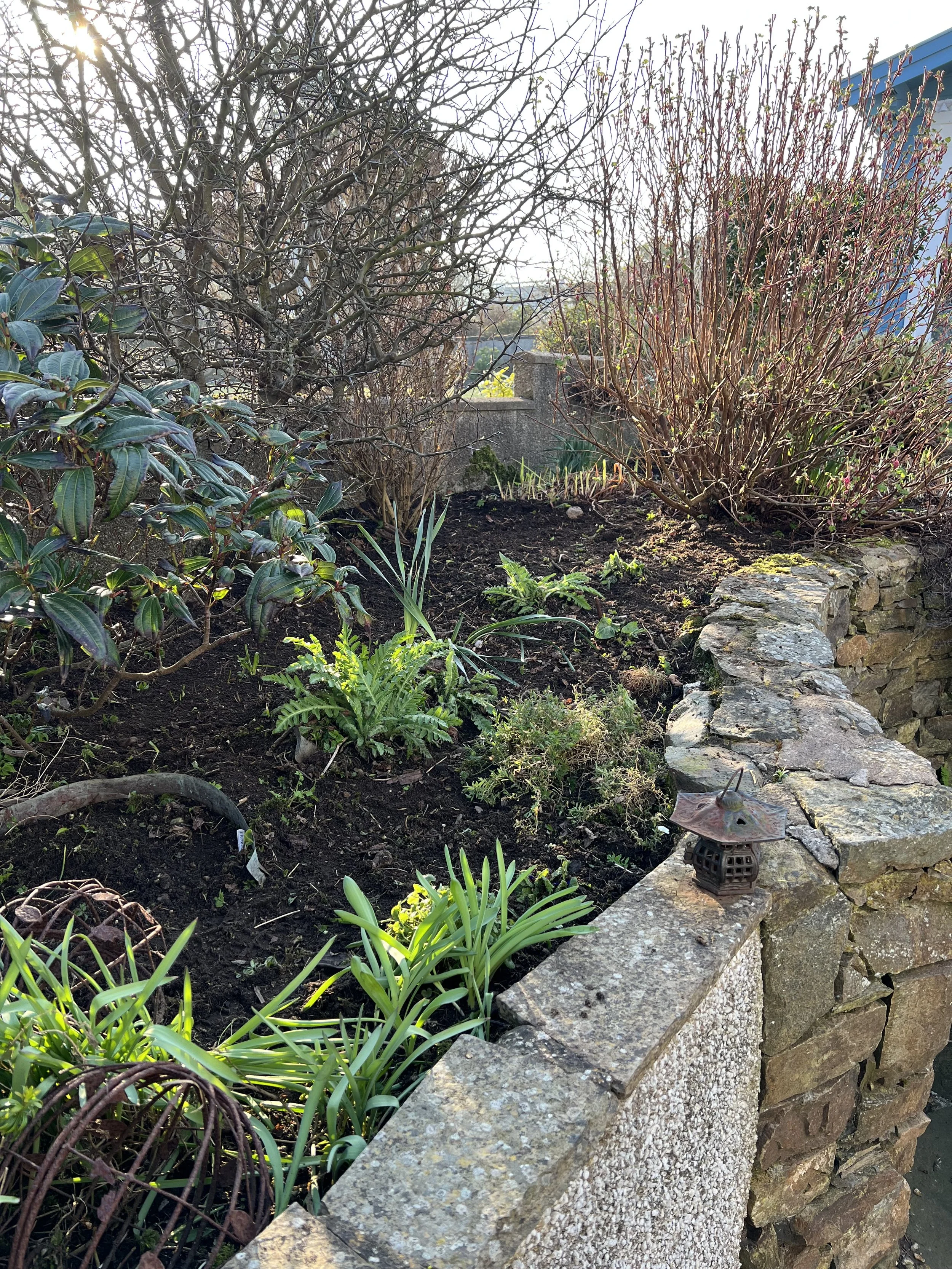 Newtonhill – Regular Garden Maintenance