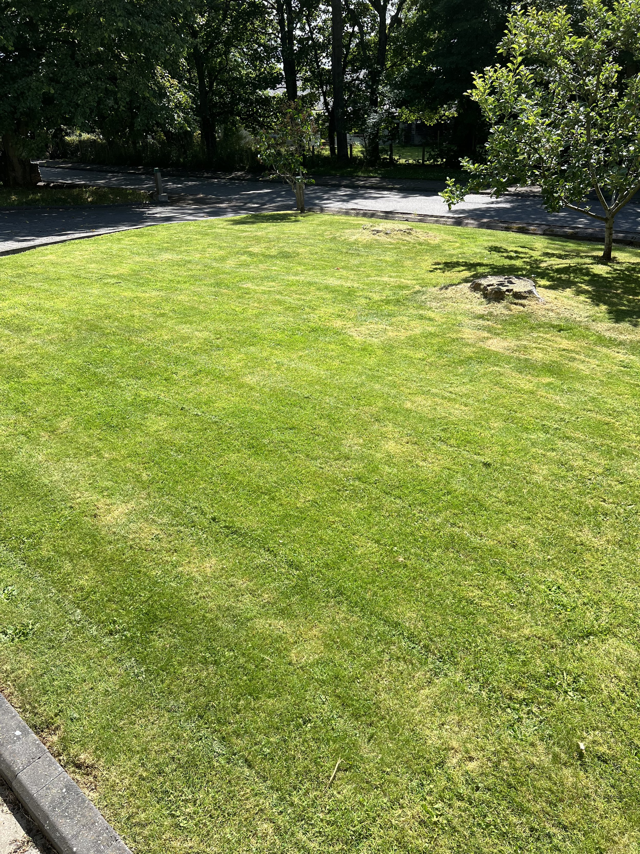 Muchalls – Regular Garden Maintenance