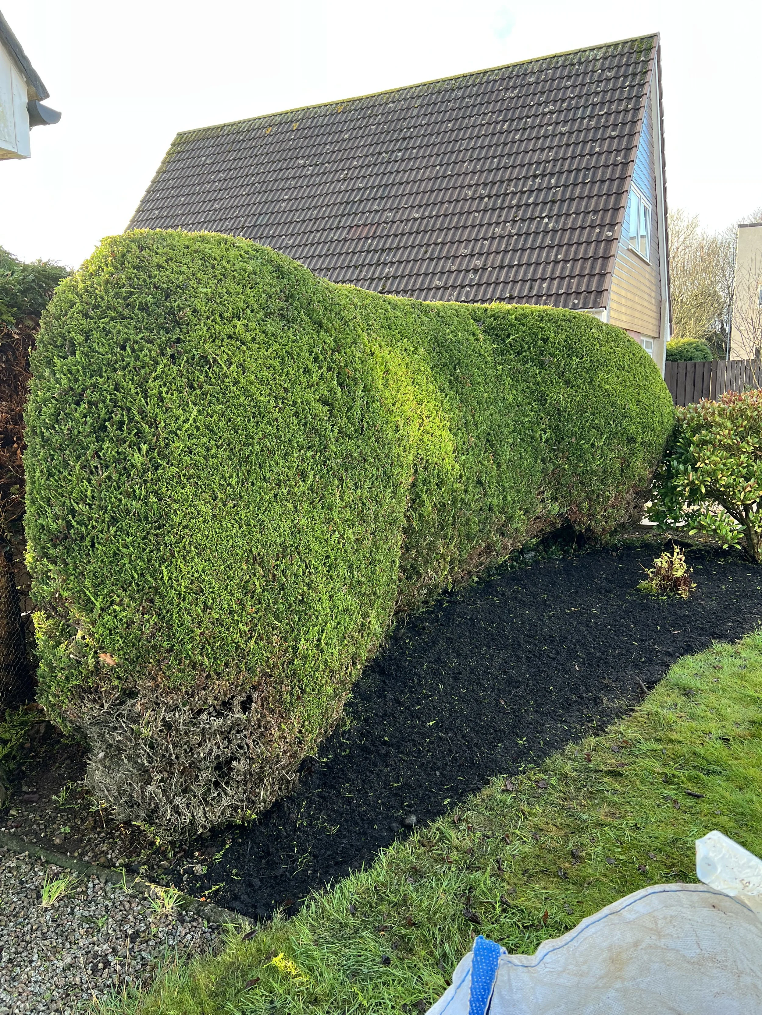 Stonehaven – Regular Garden Maintenance