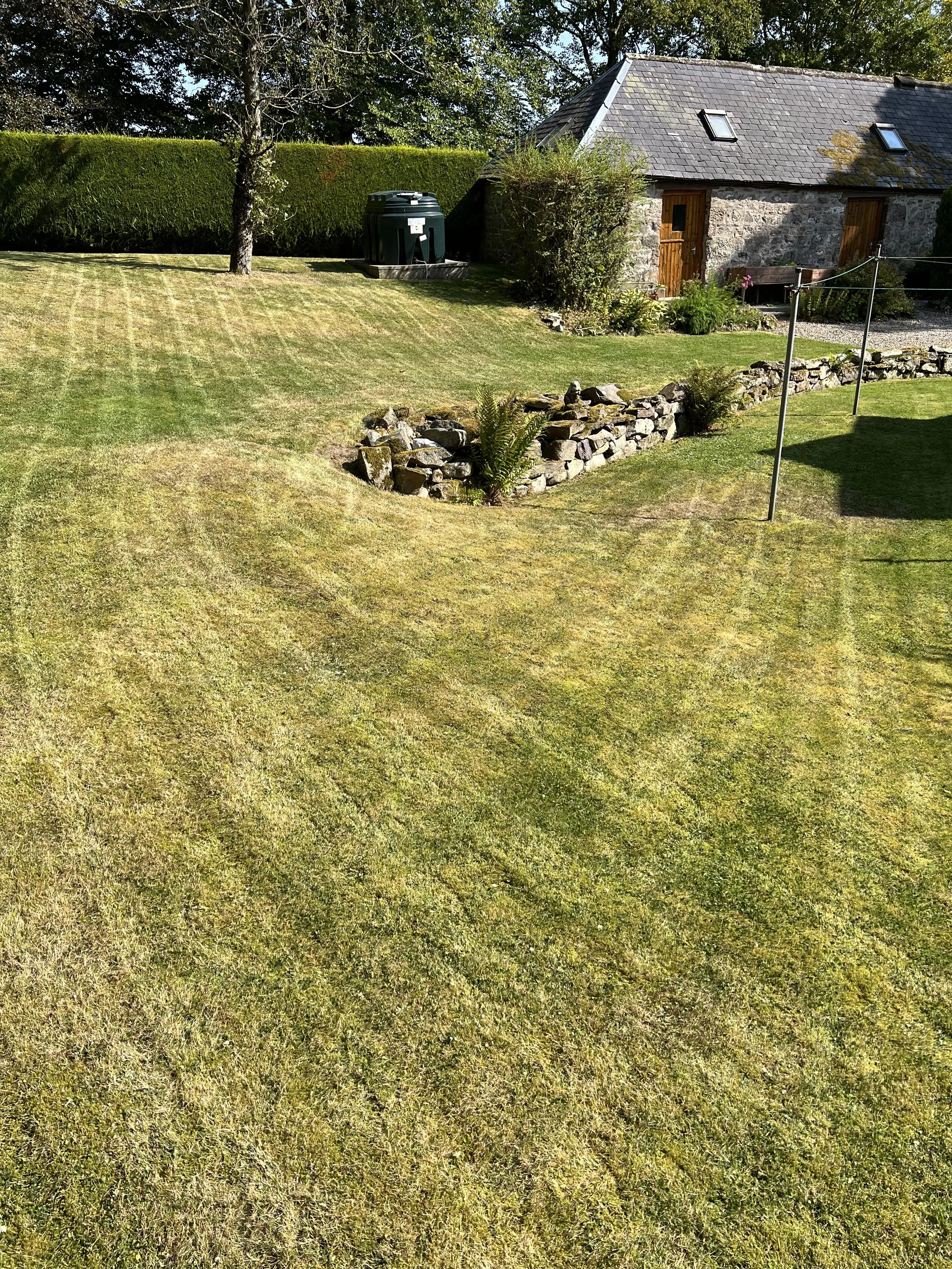 Auchenblae – Regular Garden Maintenance