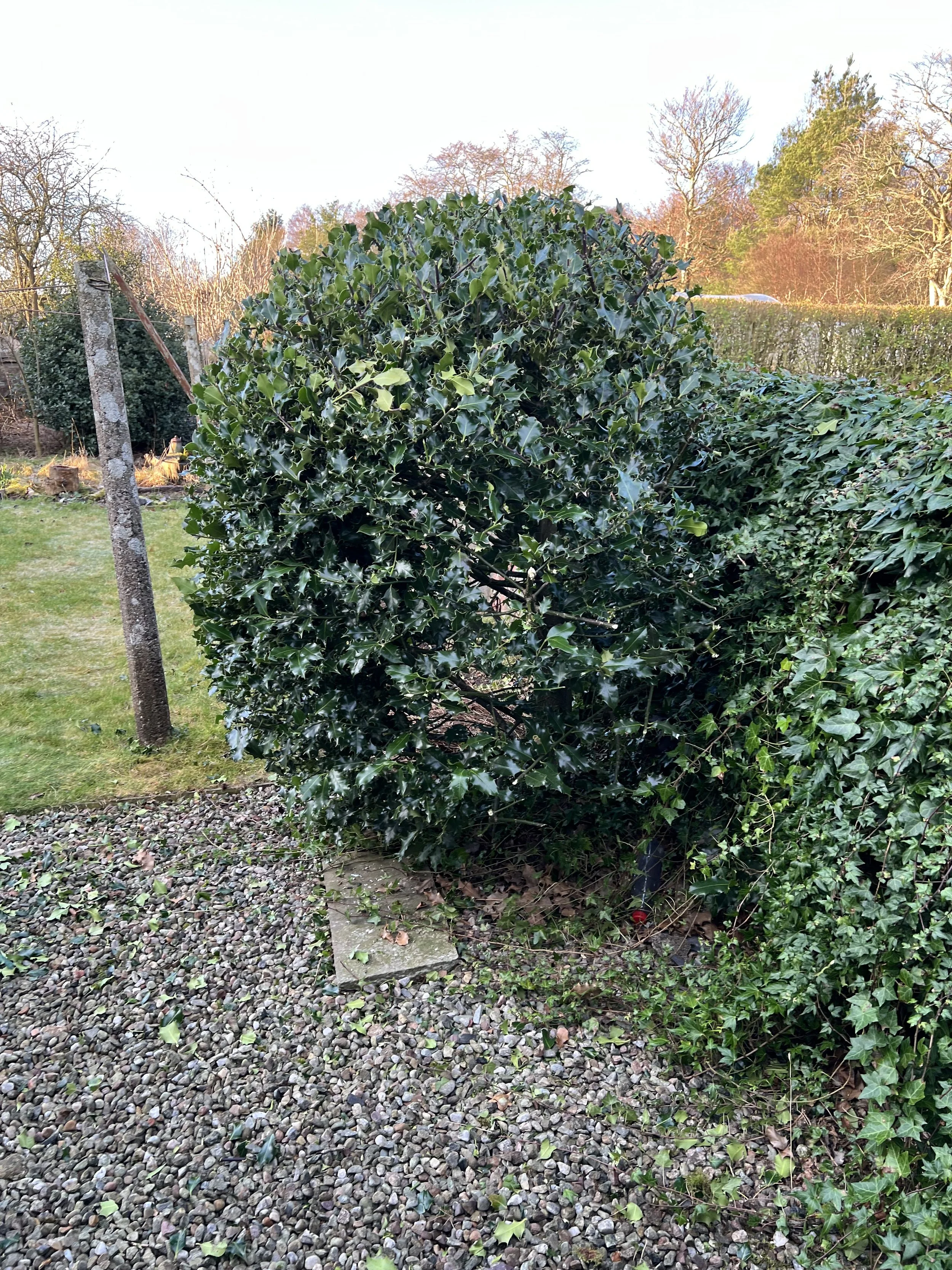 Luthermuir – Regular Garden Maintenance