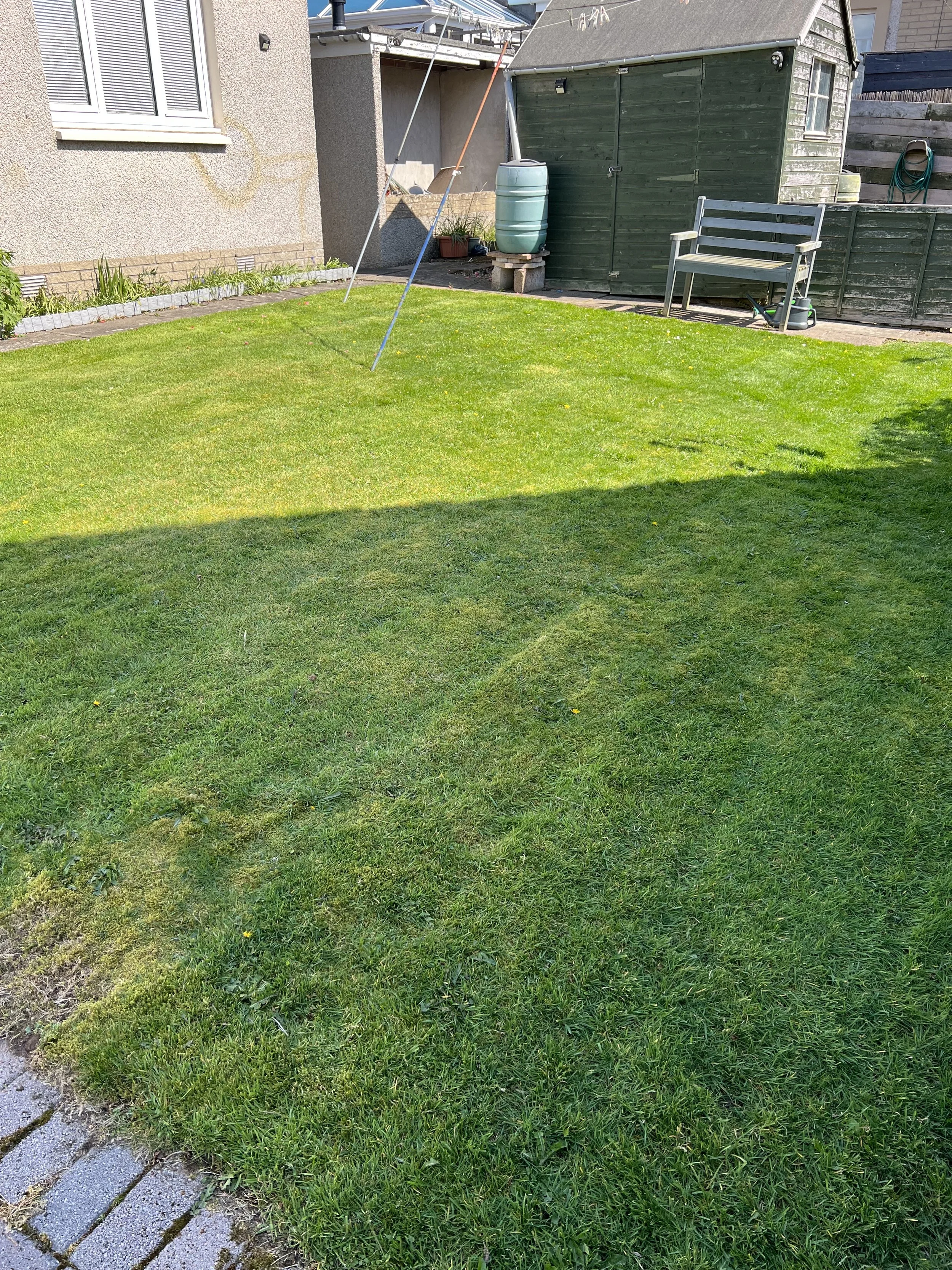 Marykirk – Regular Garden Maintenance