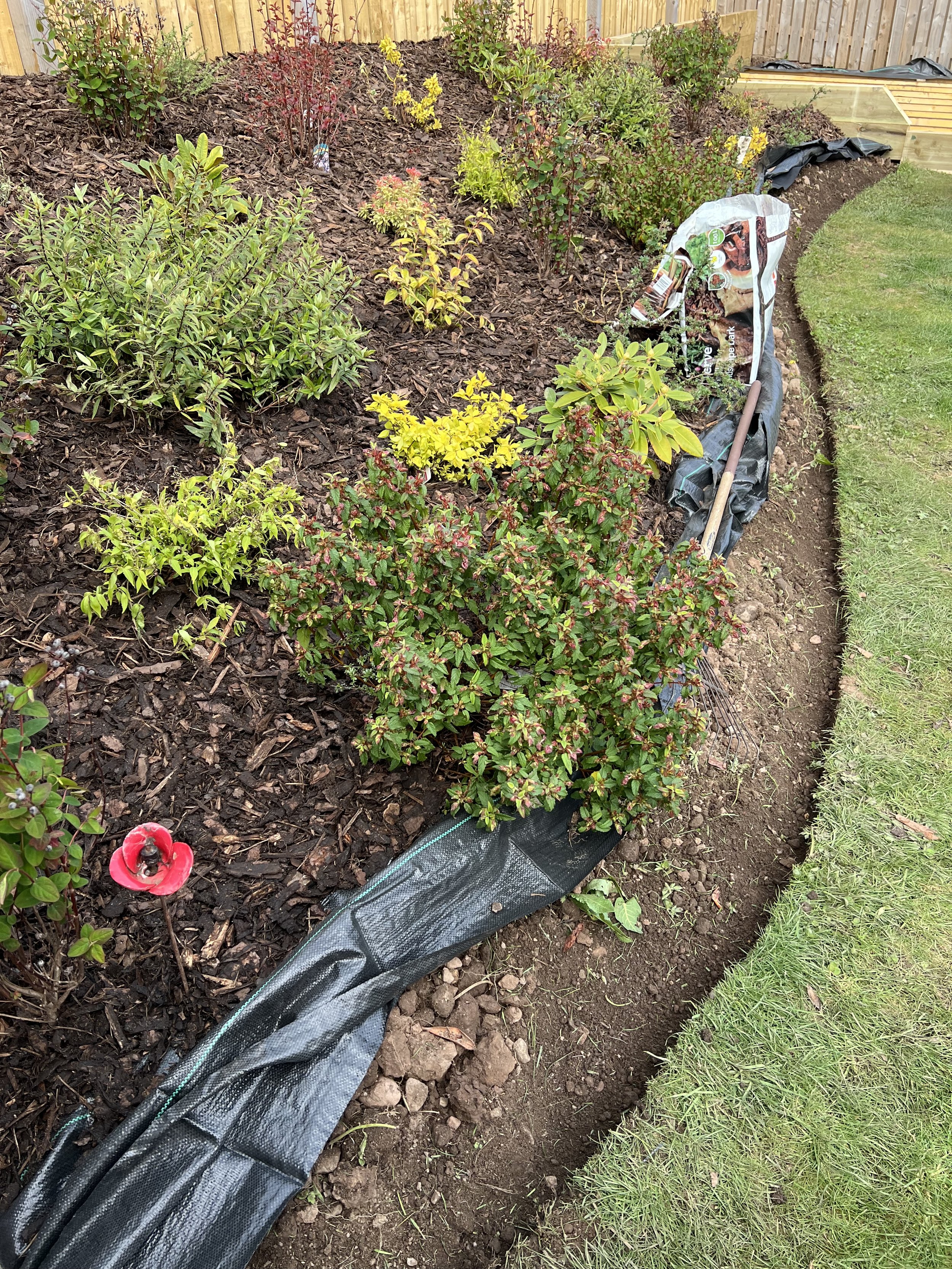 Johnshaven – Regular Garden Maintenance