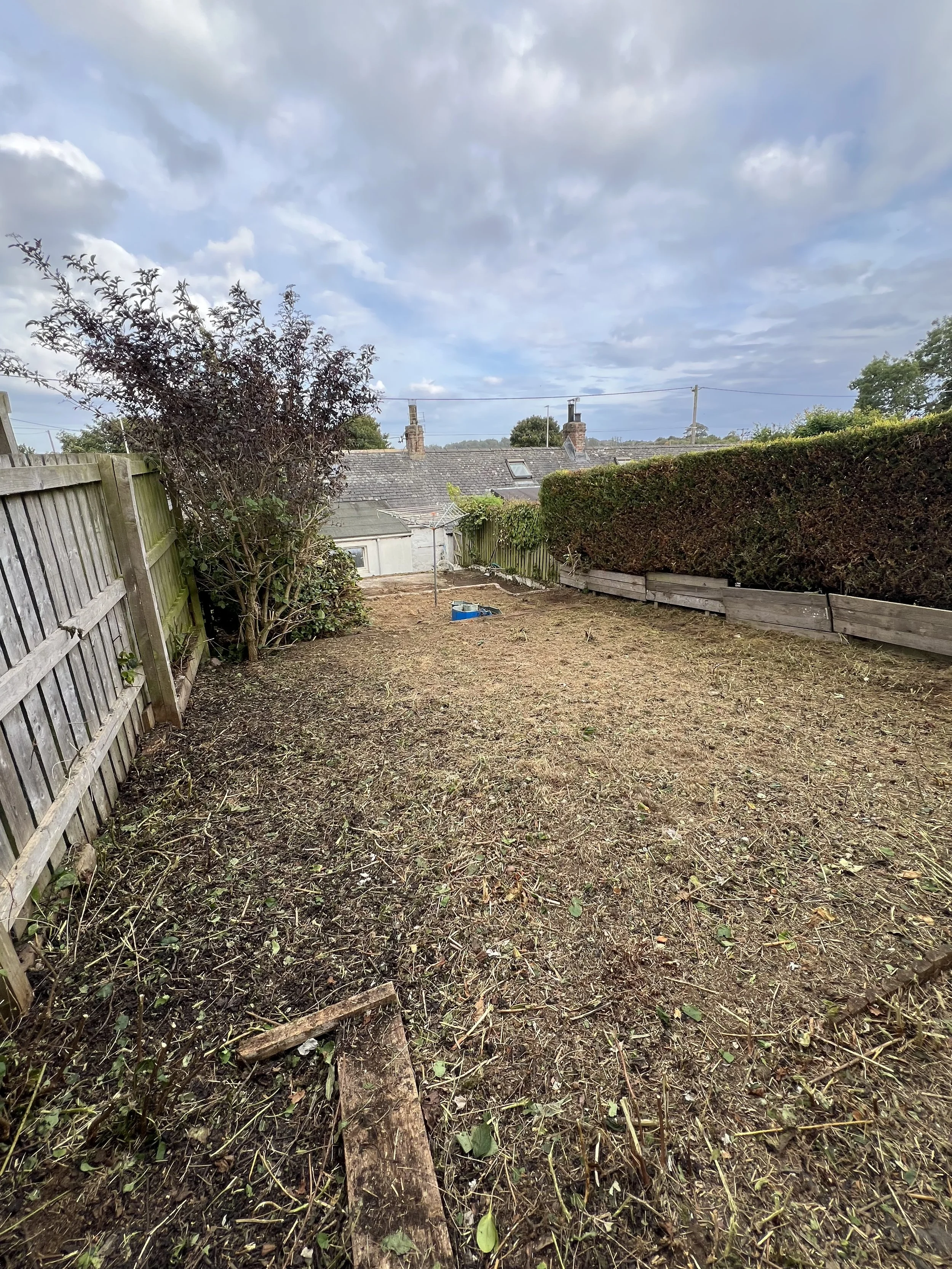 Kinneff – Regular Garden Maintenance