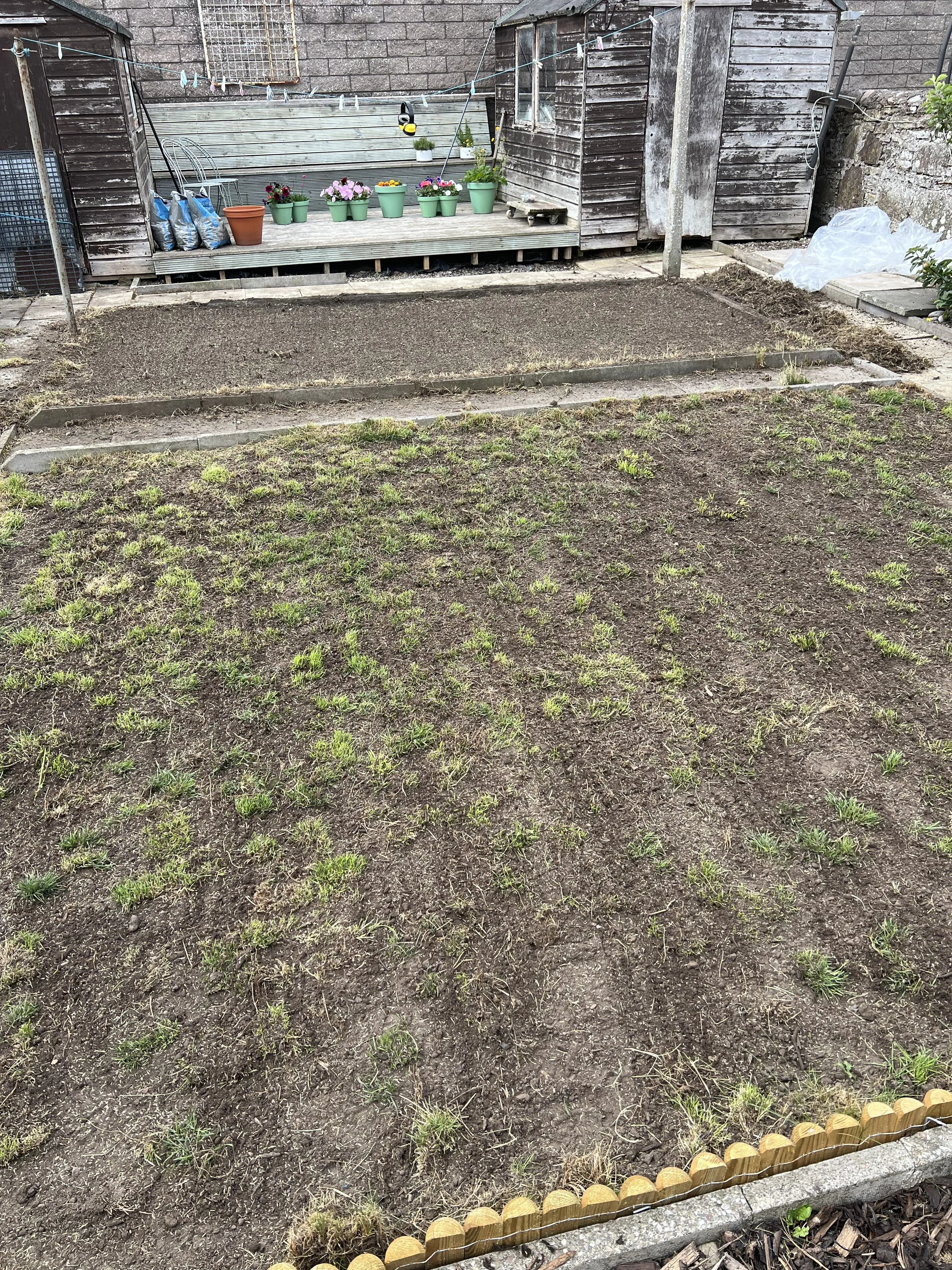 Inverbervie – Lawn Renovation