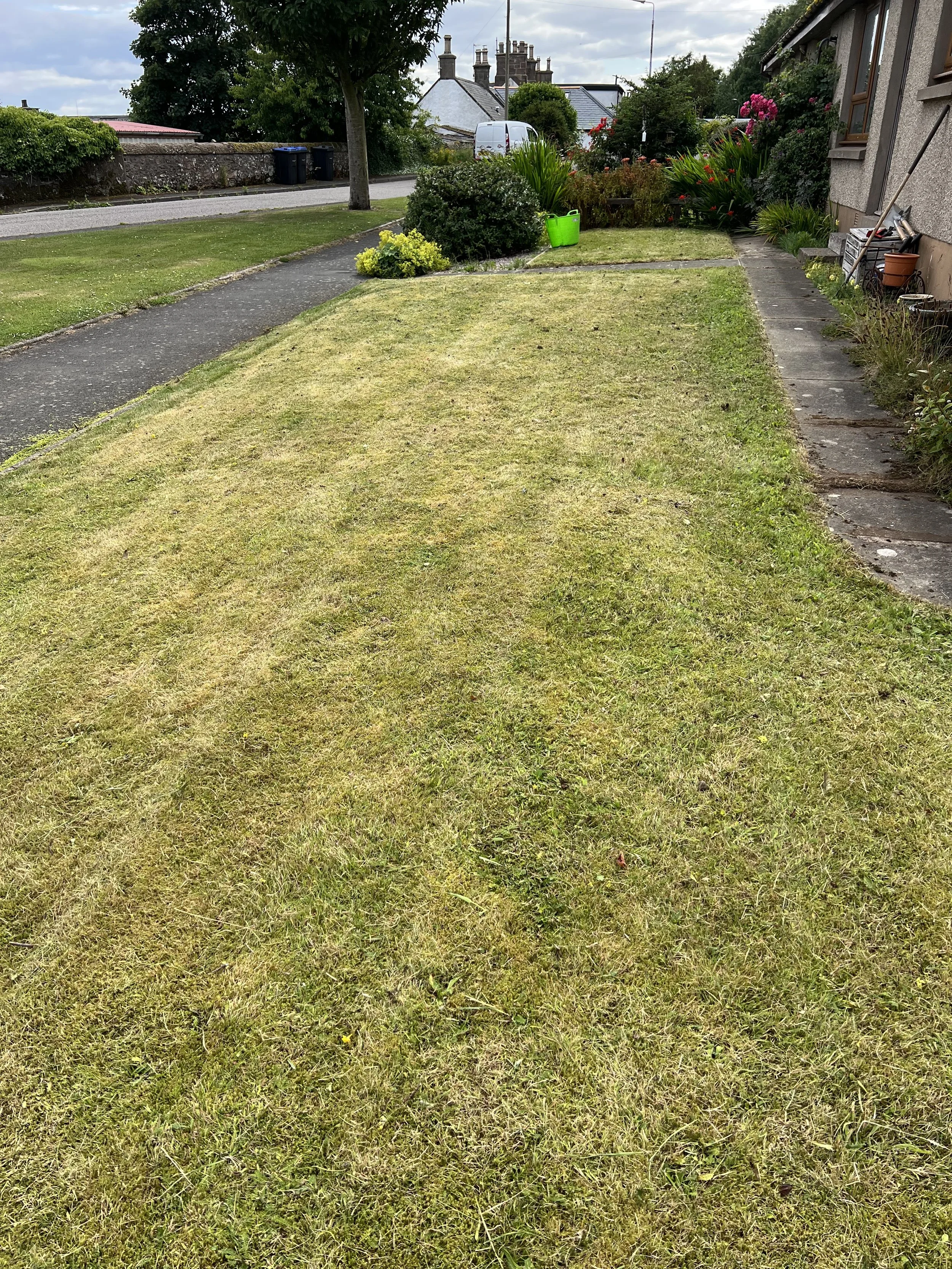 Johnshaven – Lawn Renovation