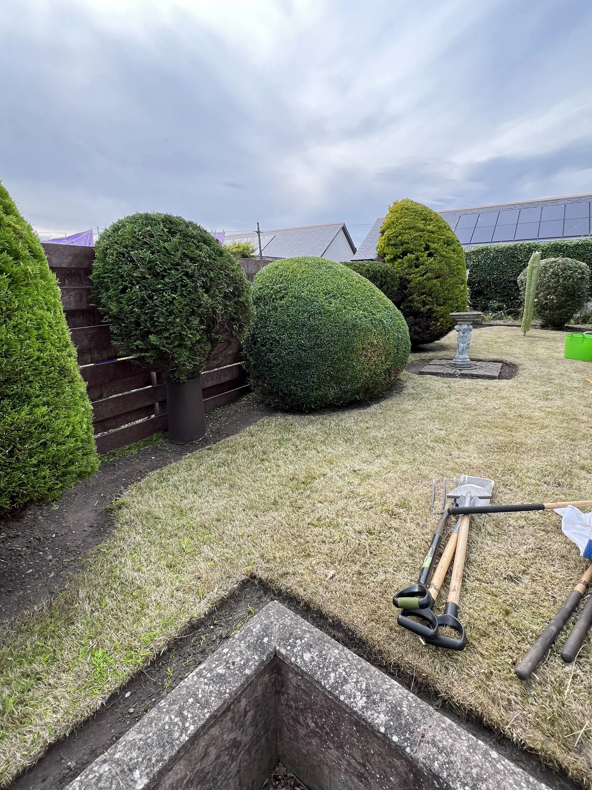 Montrose – Lawn Renovation