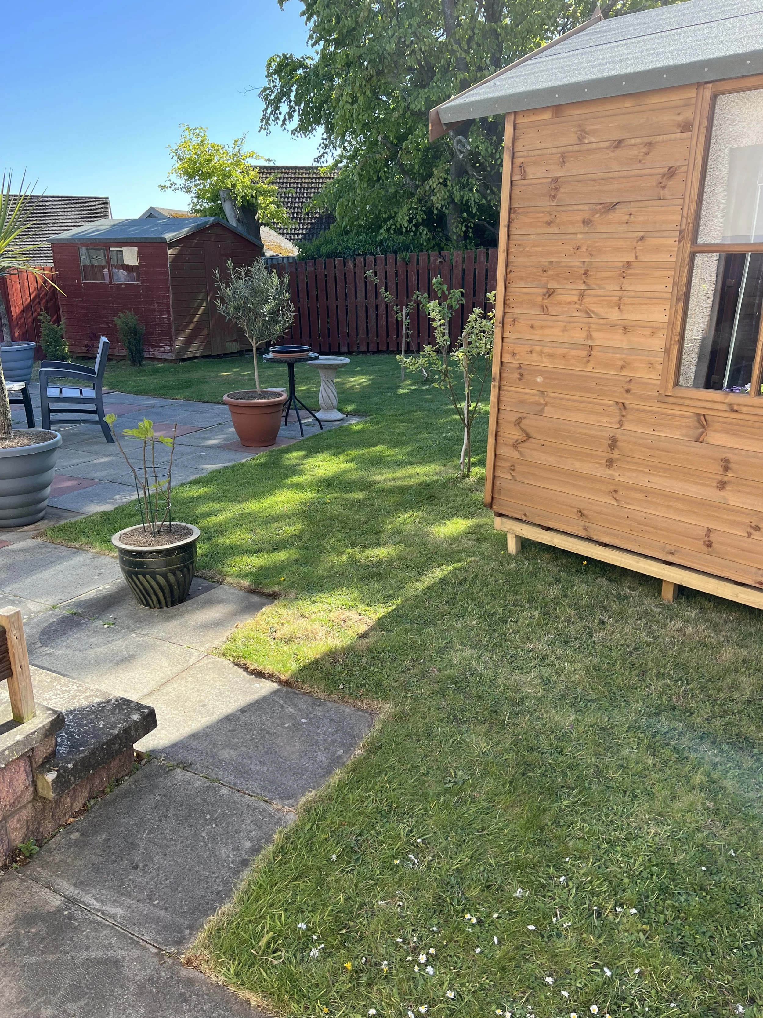 Hillside – Lawn Renovation