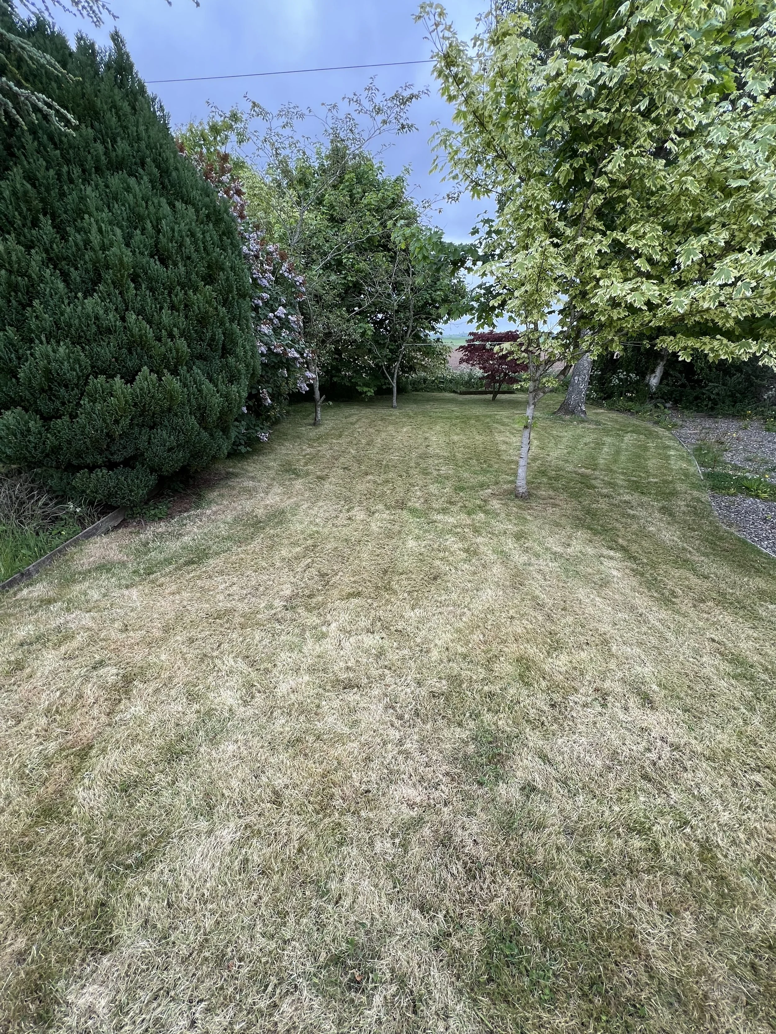 Fettercairn – Lawn Renovation