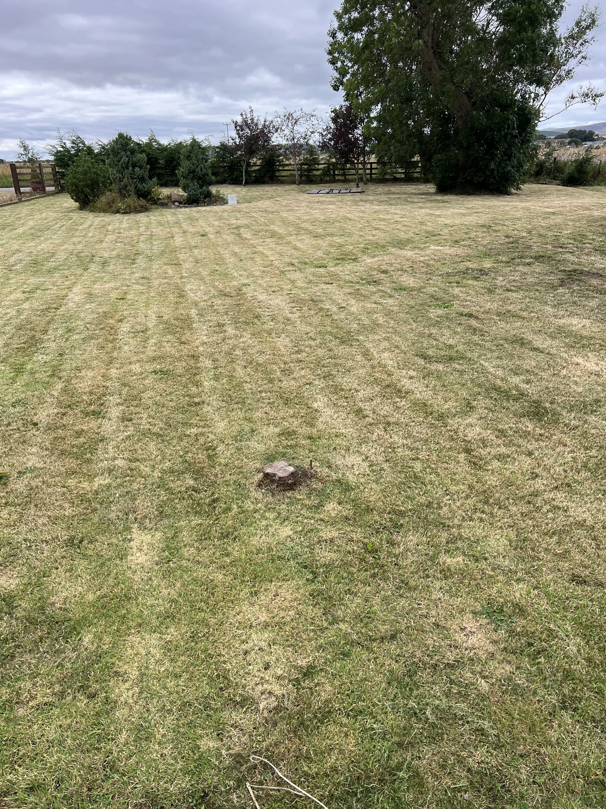 Luthermuir – Lawn Renovation