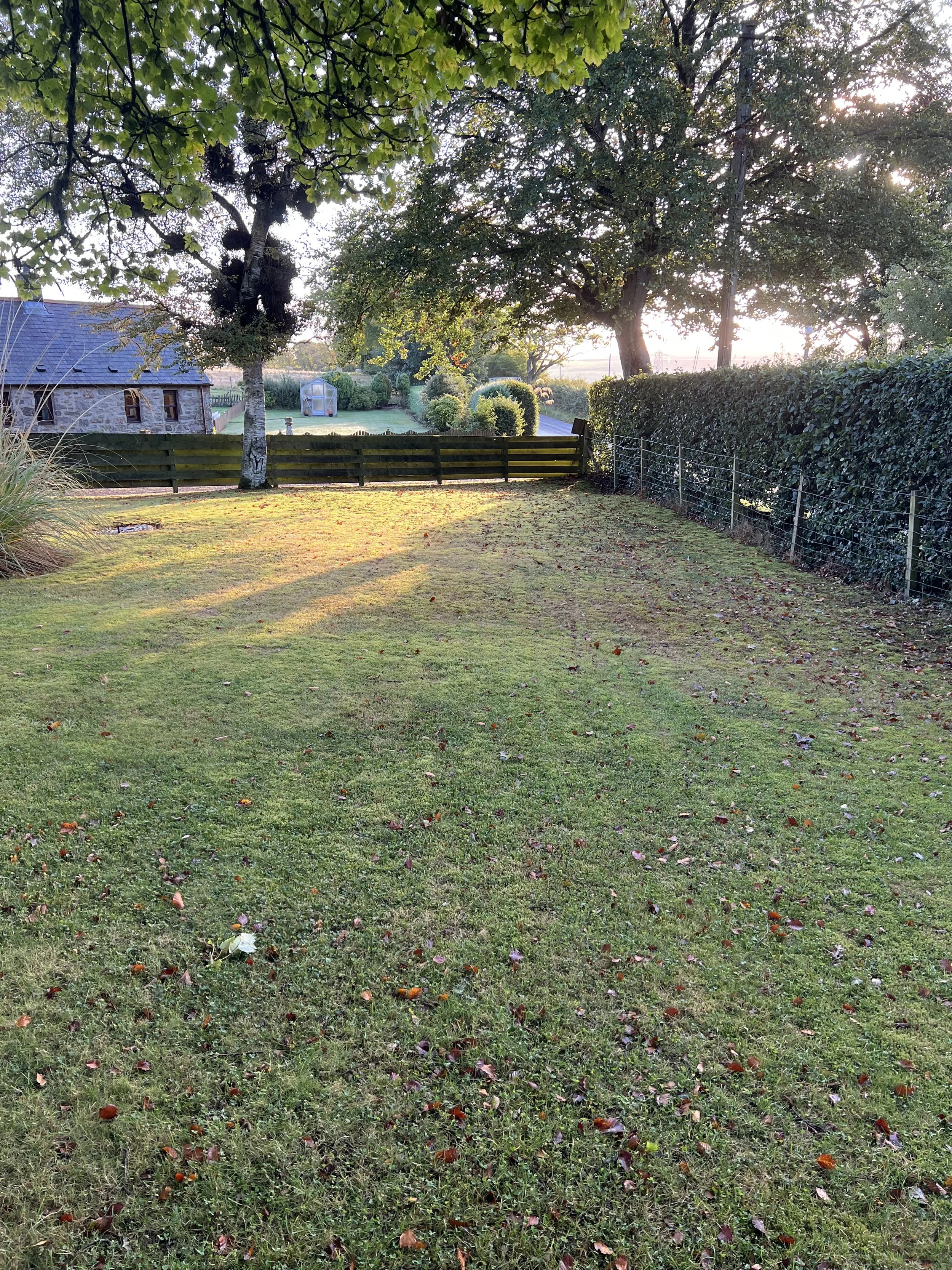 Auchenblae – Lawn Renovation