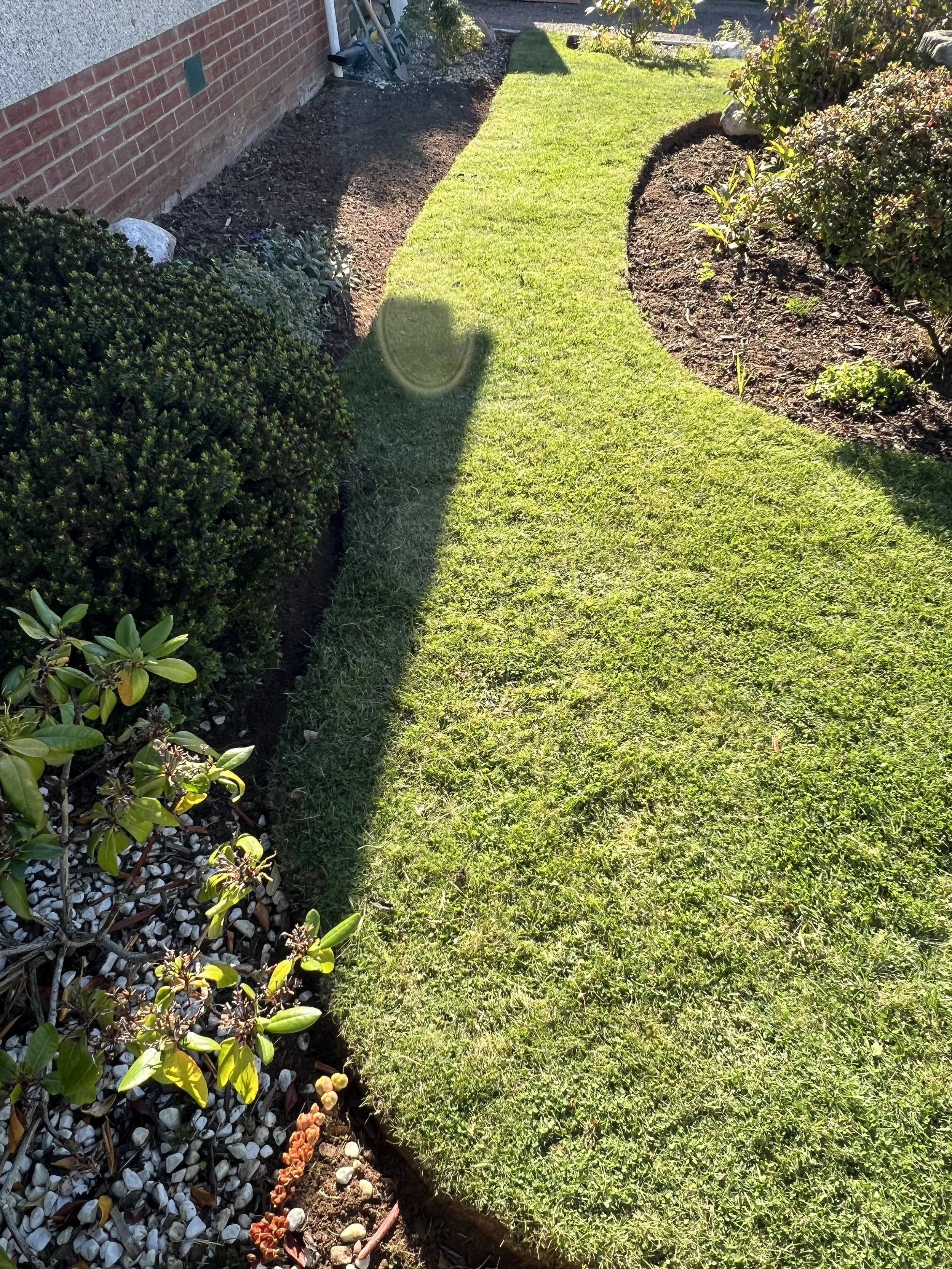 Drumlithie – Lawn Renovation