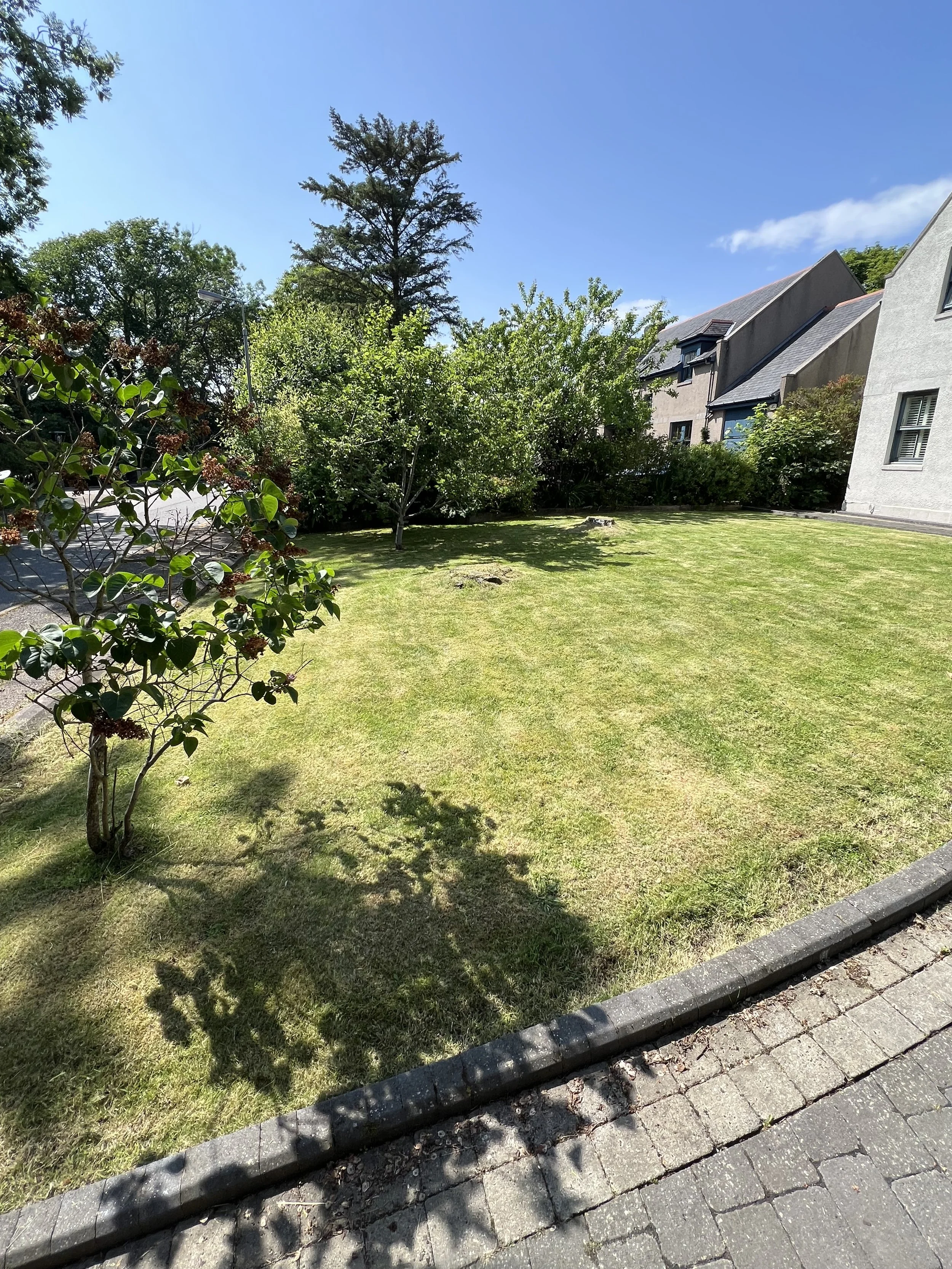 Muchalls – Lawn Renovation