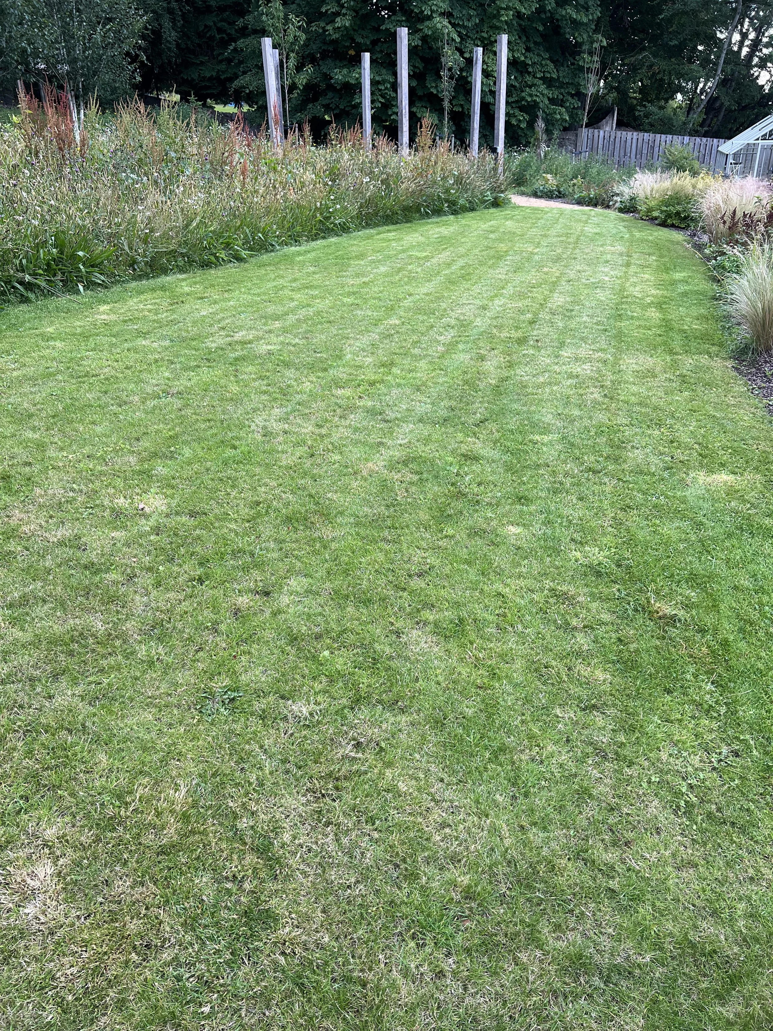 Chapelton – Lawn Renovation