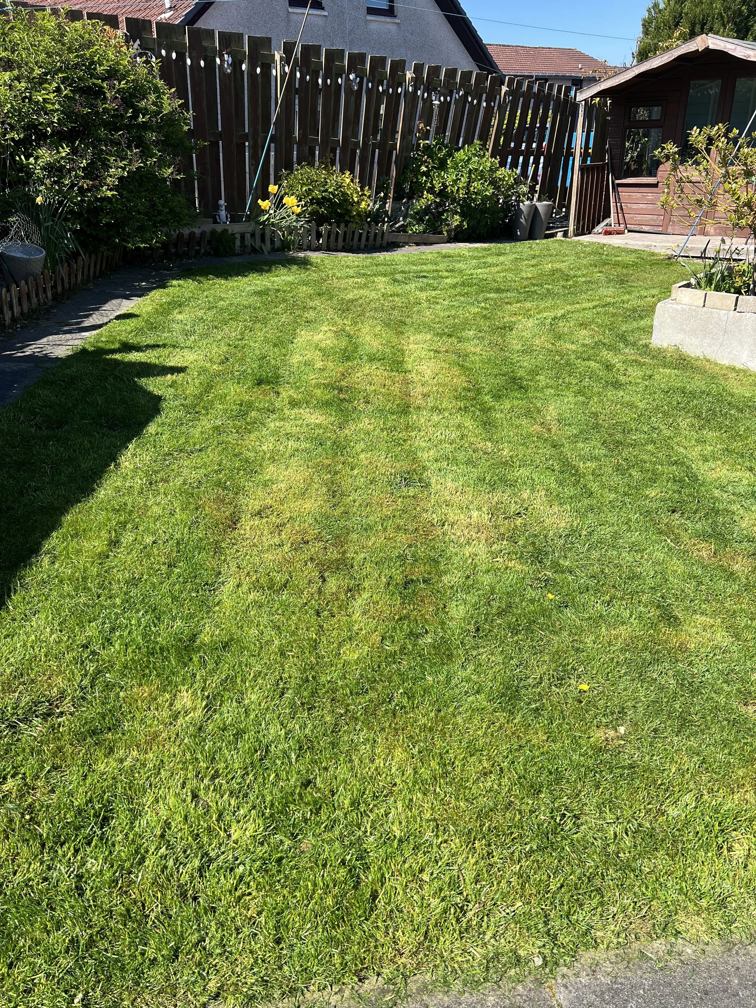 Portlethen – Lawn Renovation