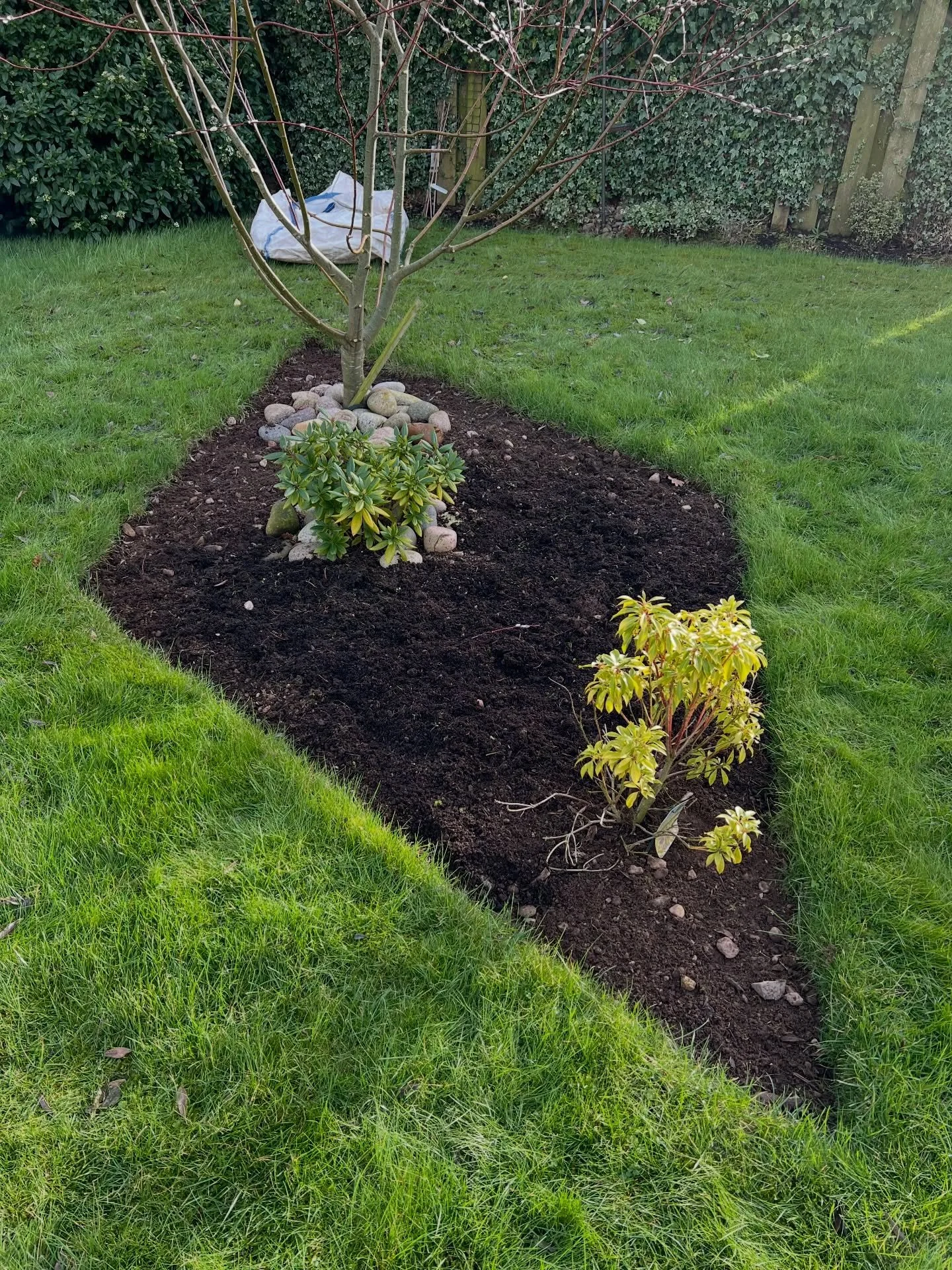 Garden tidy-up in Inverbervie!
Another lovely customer, this time EXTREMELY local to me, got in touch for a garden tidy. The borders were filled with little weeds that had crept up over winter and there was plenty of leaf litter and spent perennials 