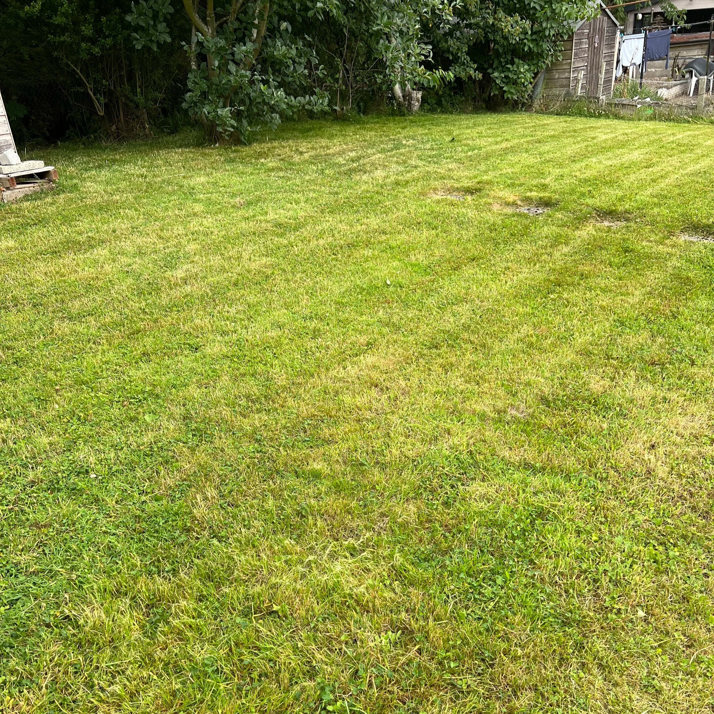 Oak & Sparrow is the number one local gardener in Johnshaven and South Aberdeenshire. We provide a full range of garden maintenance services and top tier customer service.