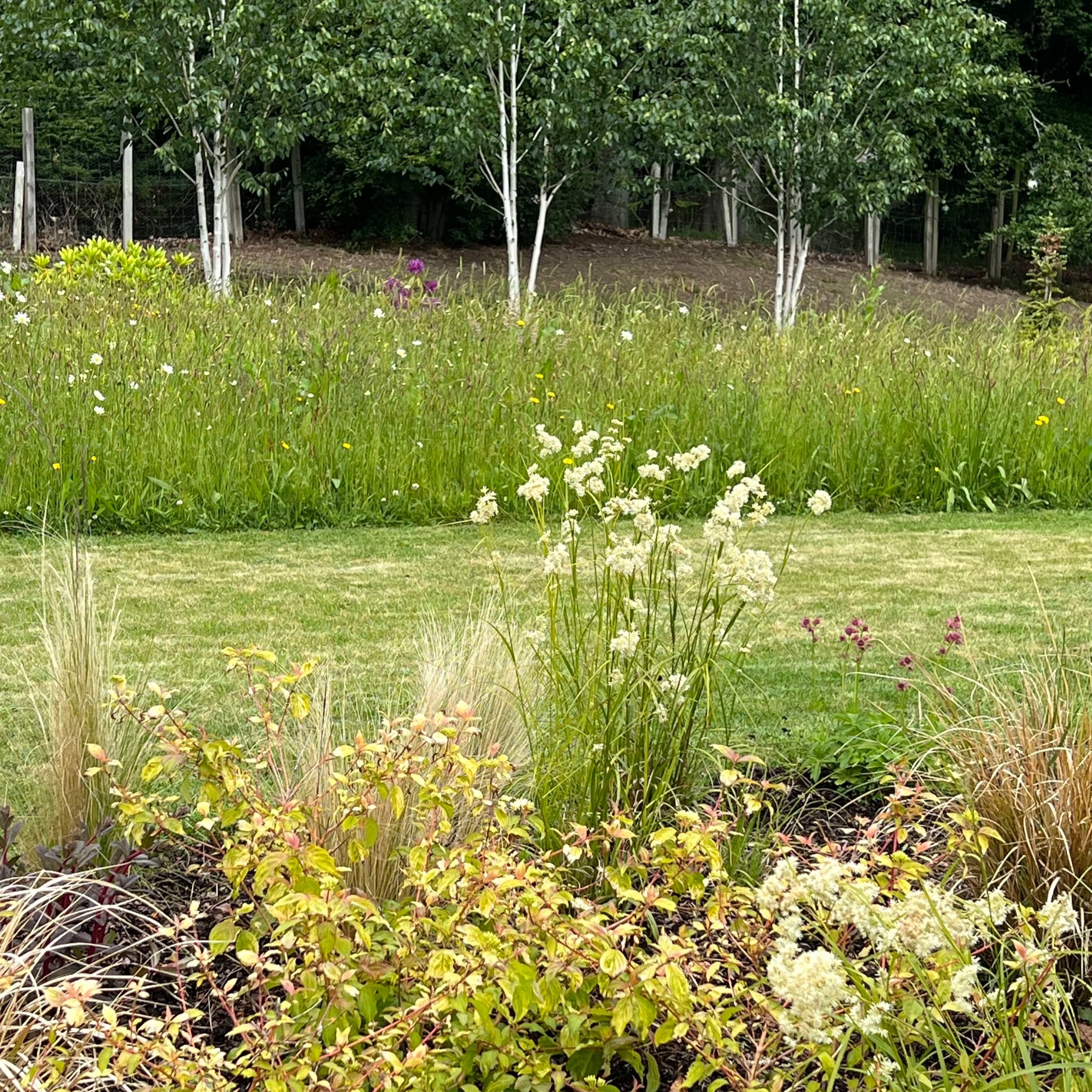 Oak & Sparrow is your reliable local gardener covering Aberdeen, and offering regular garden maintenance and gardening services.