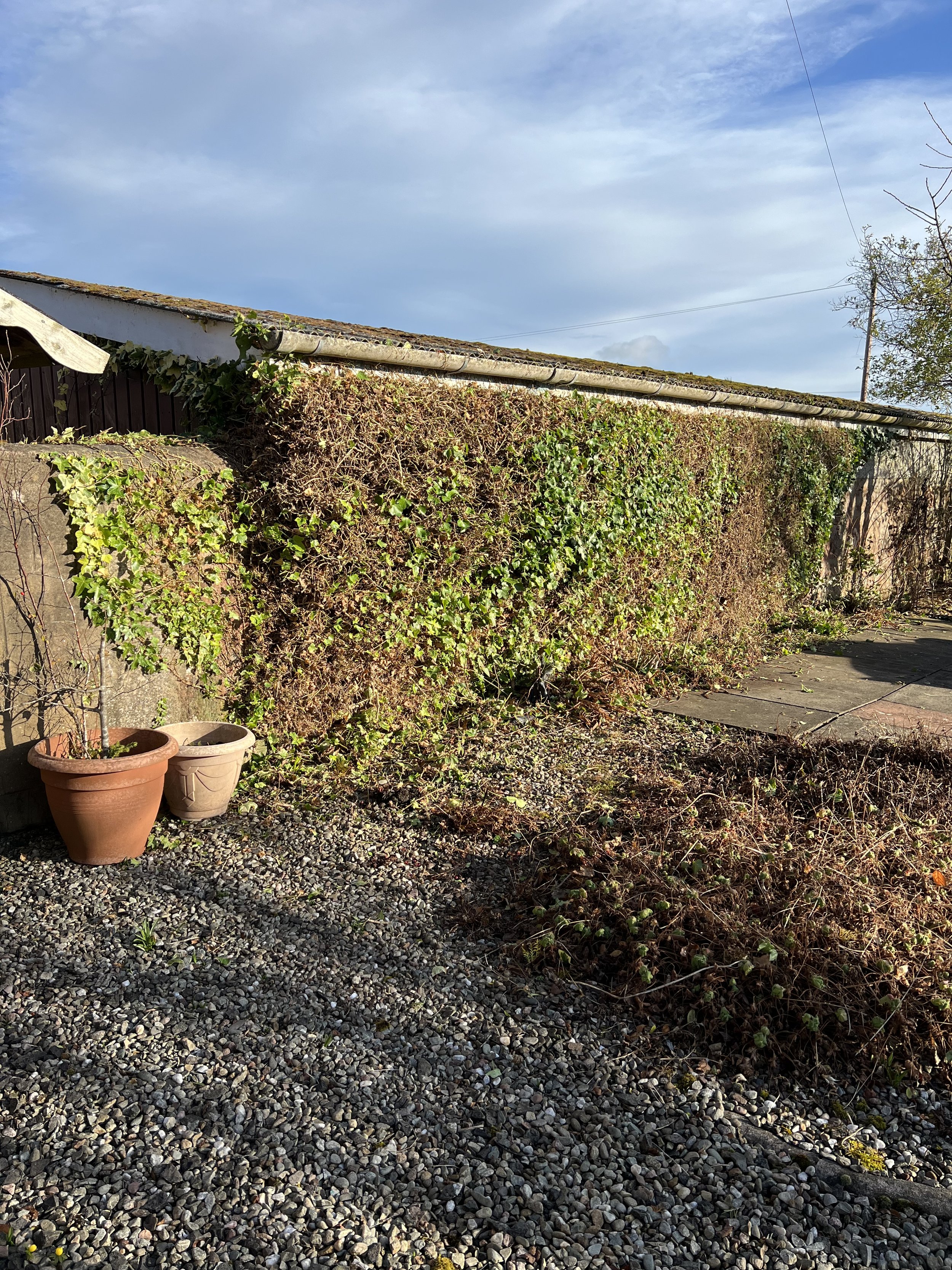 Oak & Sparrow covers gardens in Luthermuir and South Aberdeenshire. We offer a full range of gardening services and provide excellent customer service and results.