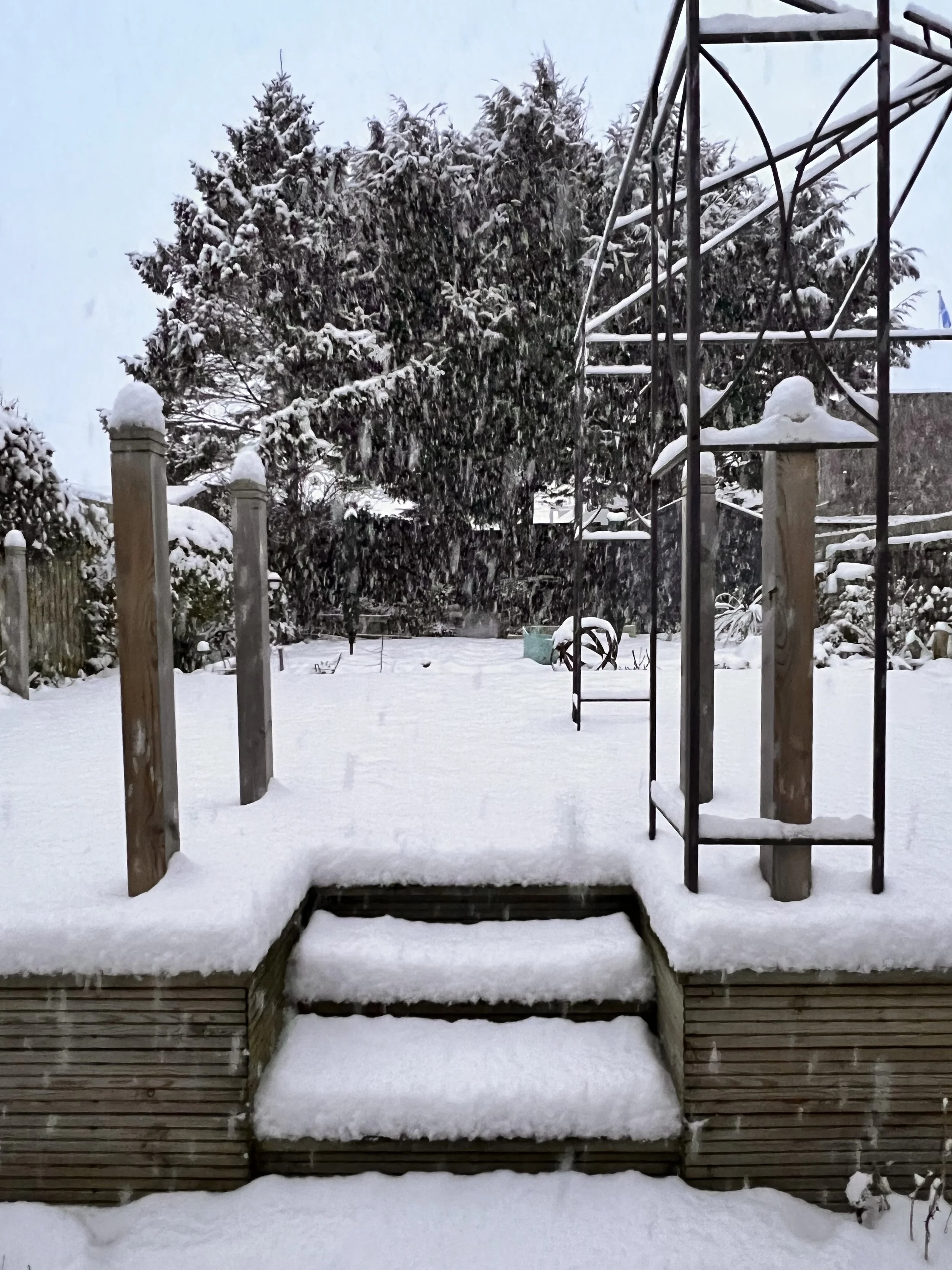 tidy garden for winter