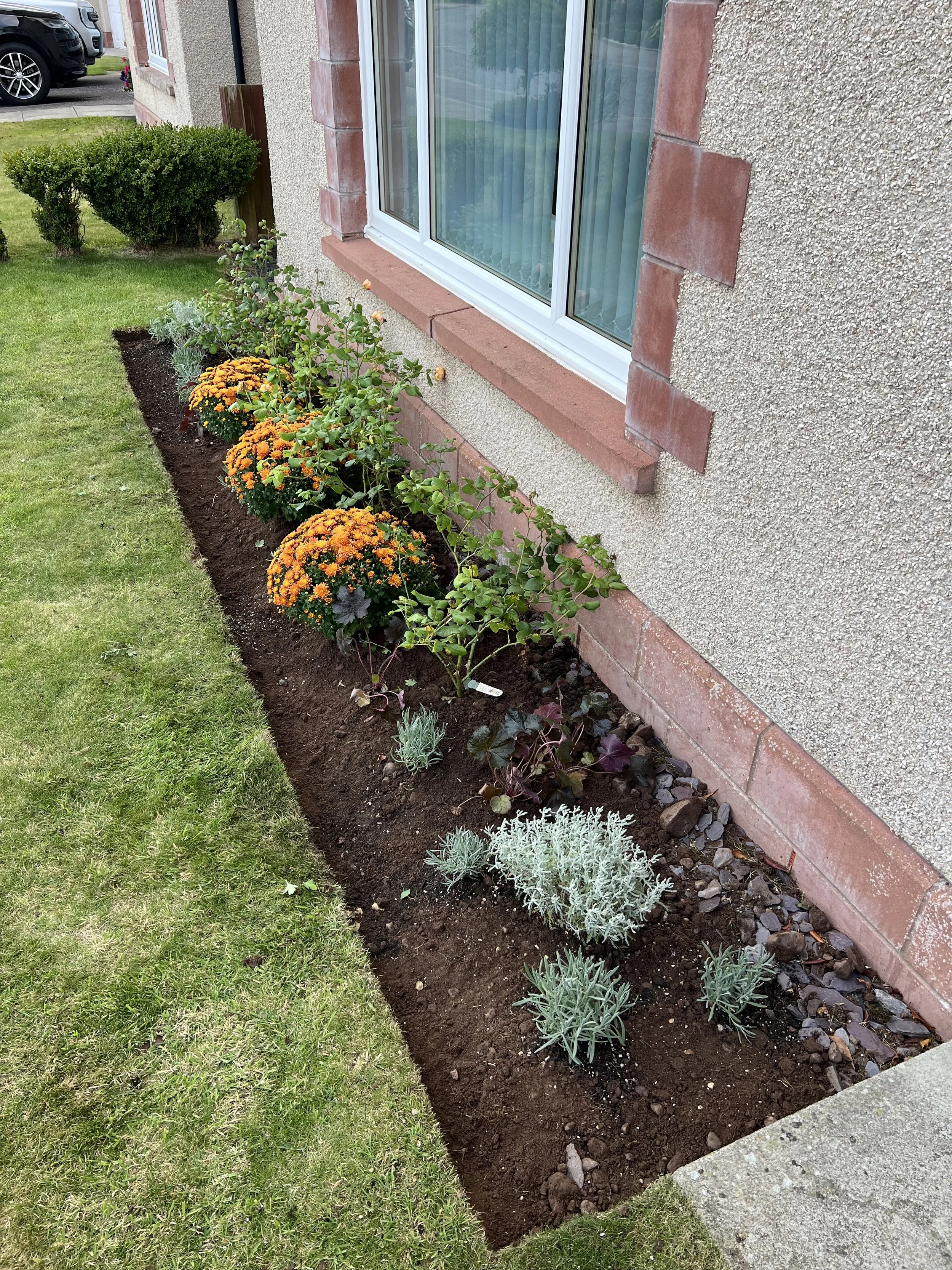 A freshly planted flower bed helps to brighten up and improve your garden. Oak & Sparrow is your local Chapelton gardener to make your garden beautiful.