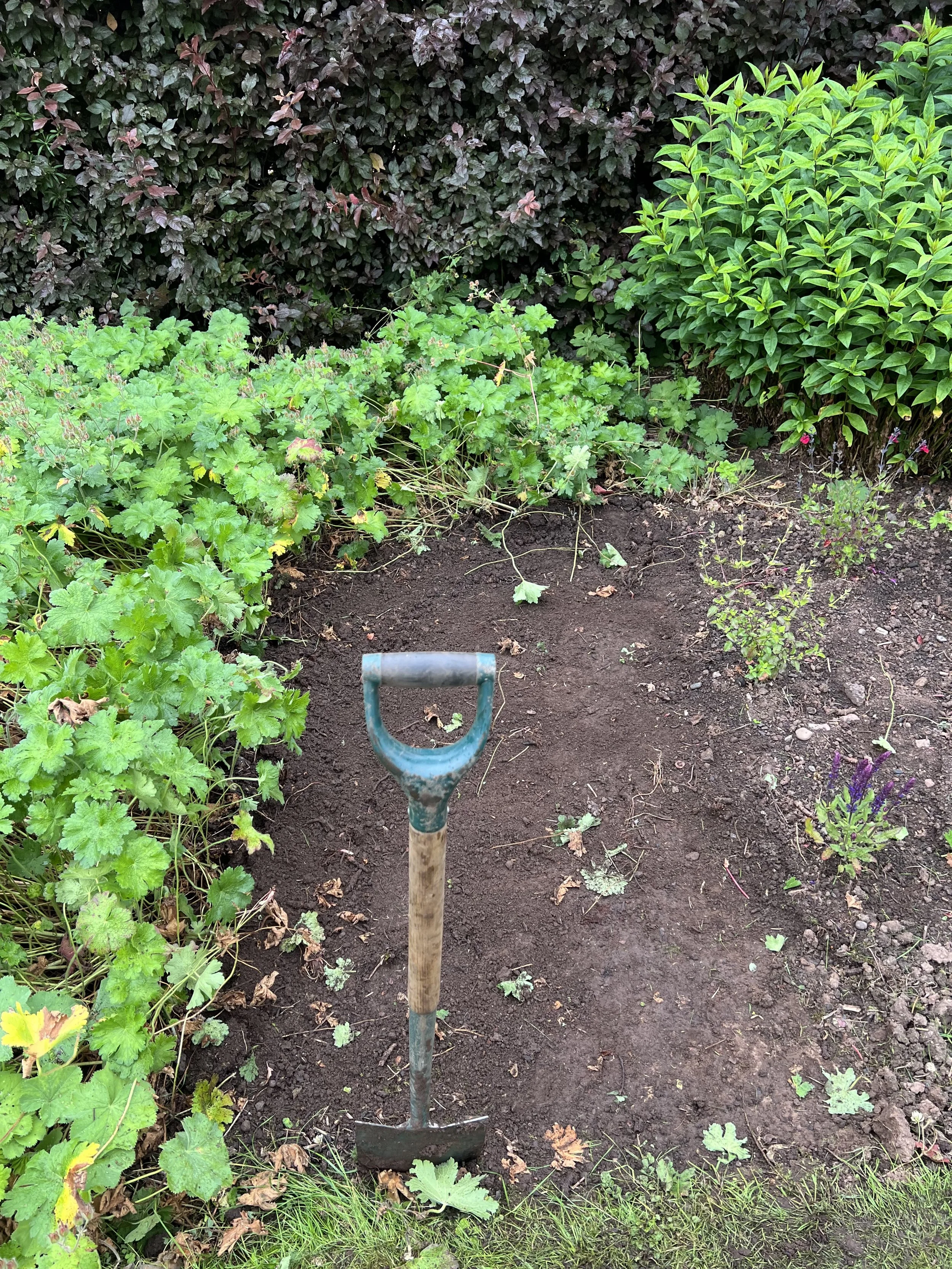 local gardener aberdeenshire