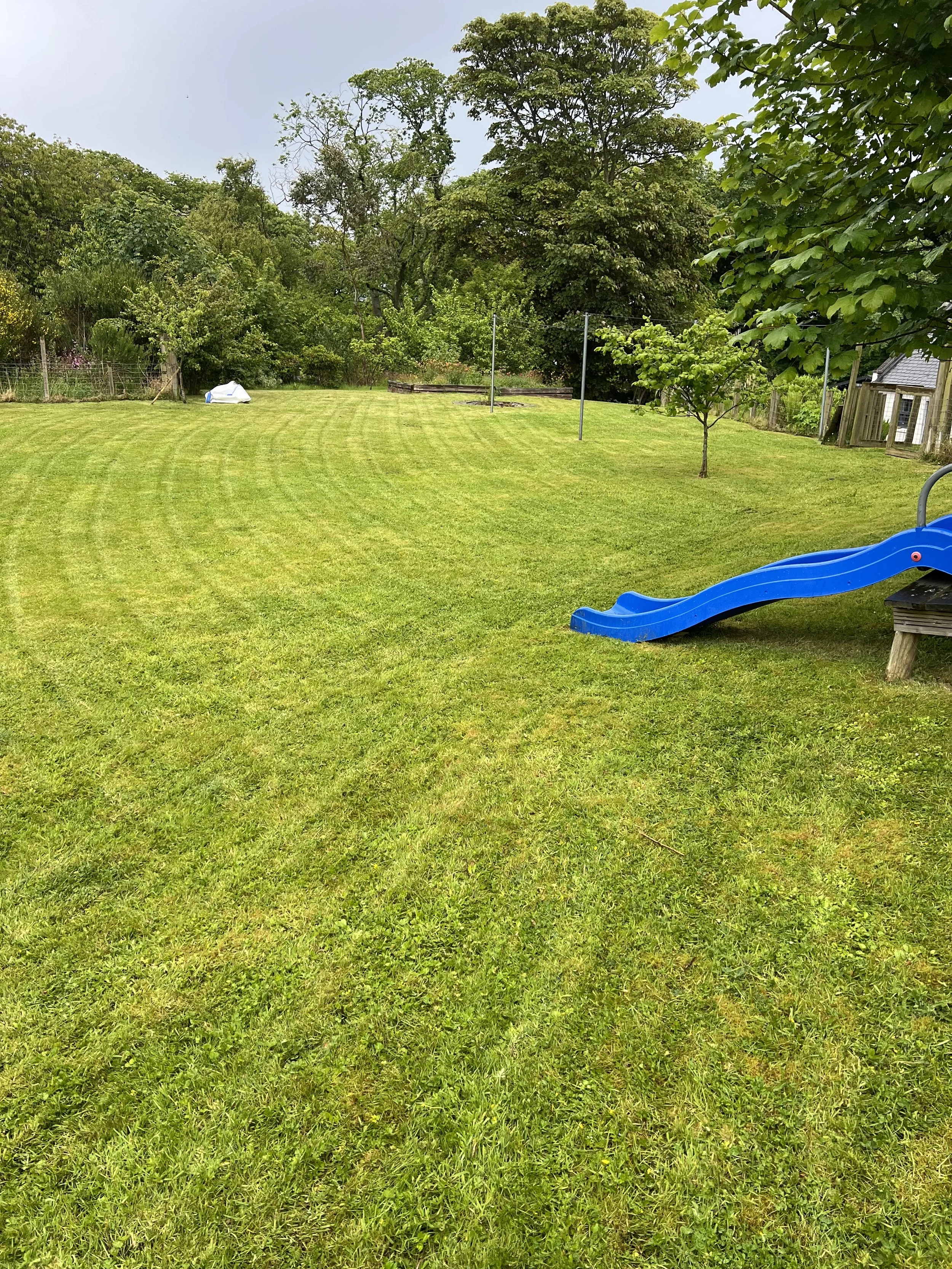 Looking for regular grass cutting and lawn care? Oak & Sparrow provides regular garden maintenance services and will offer excellent results in your garden.