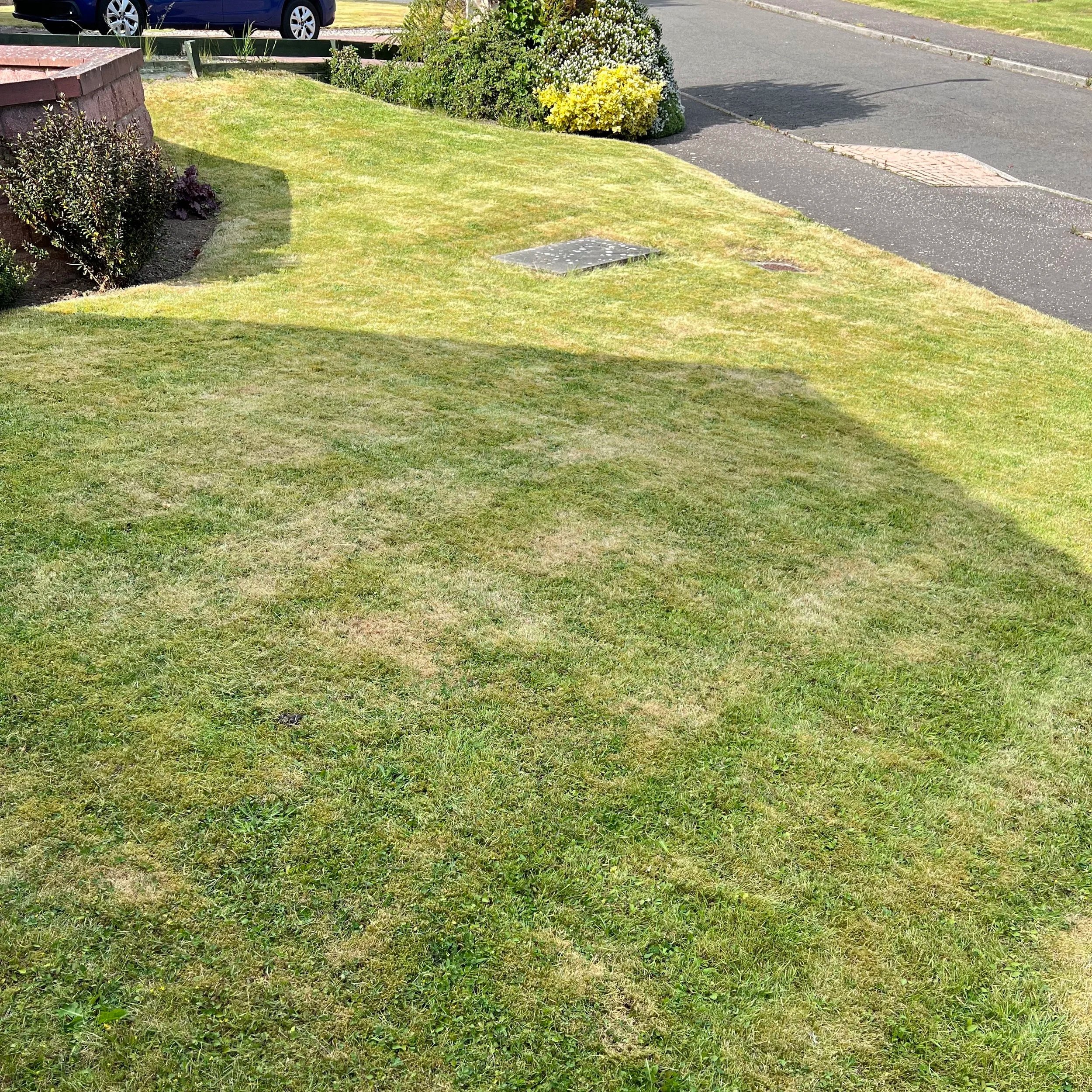 I provide a full range of gardening services in Hillside, South Aberdeenshire and North Angus. If you need a gardener in Hillside, Oak & Sparrow is the best company to contact.