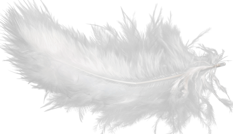 A white feather associated with The Bard