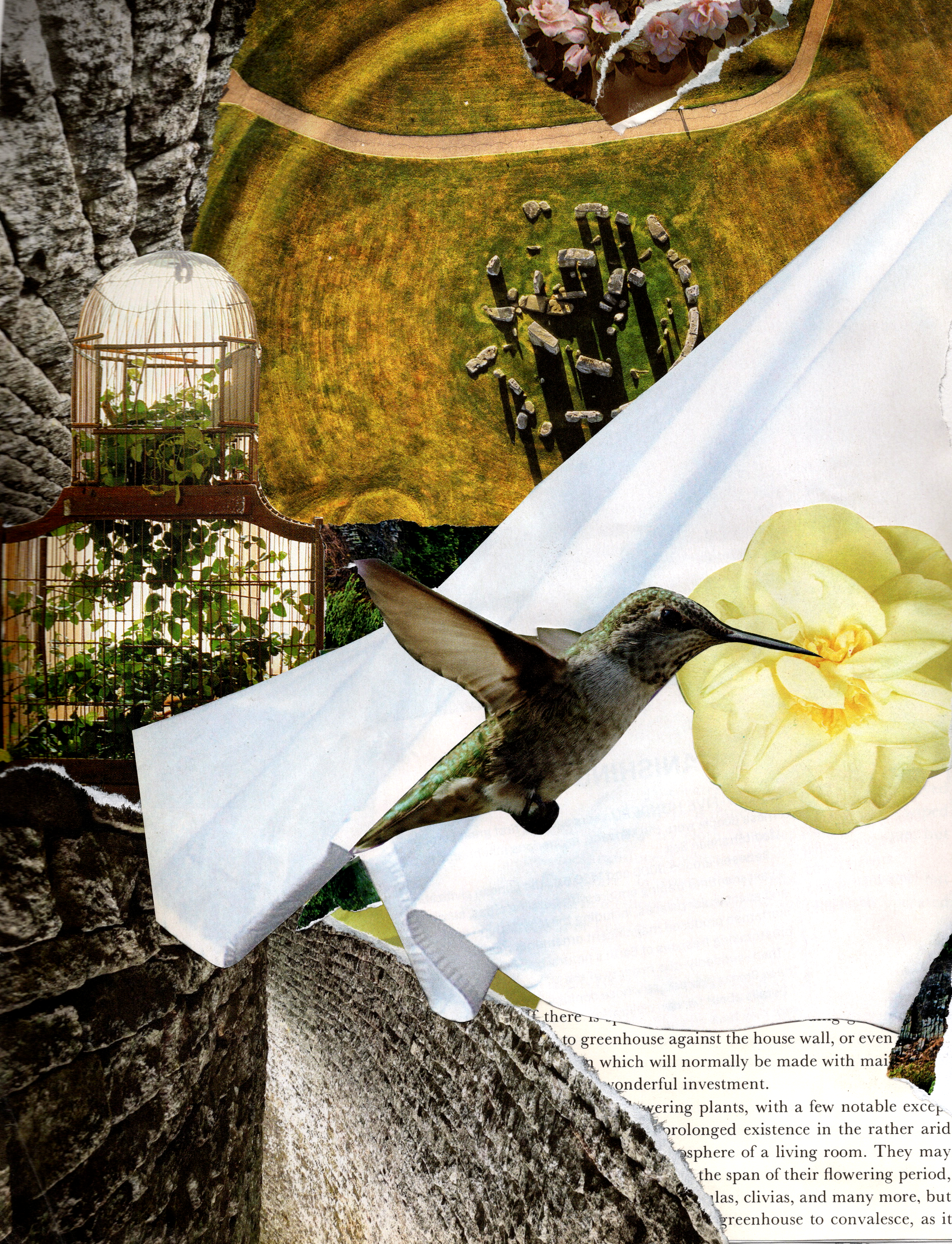 Ancient Memories (2026)