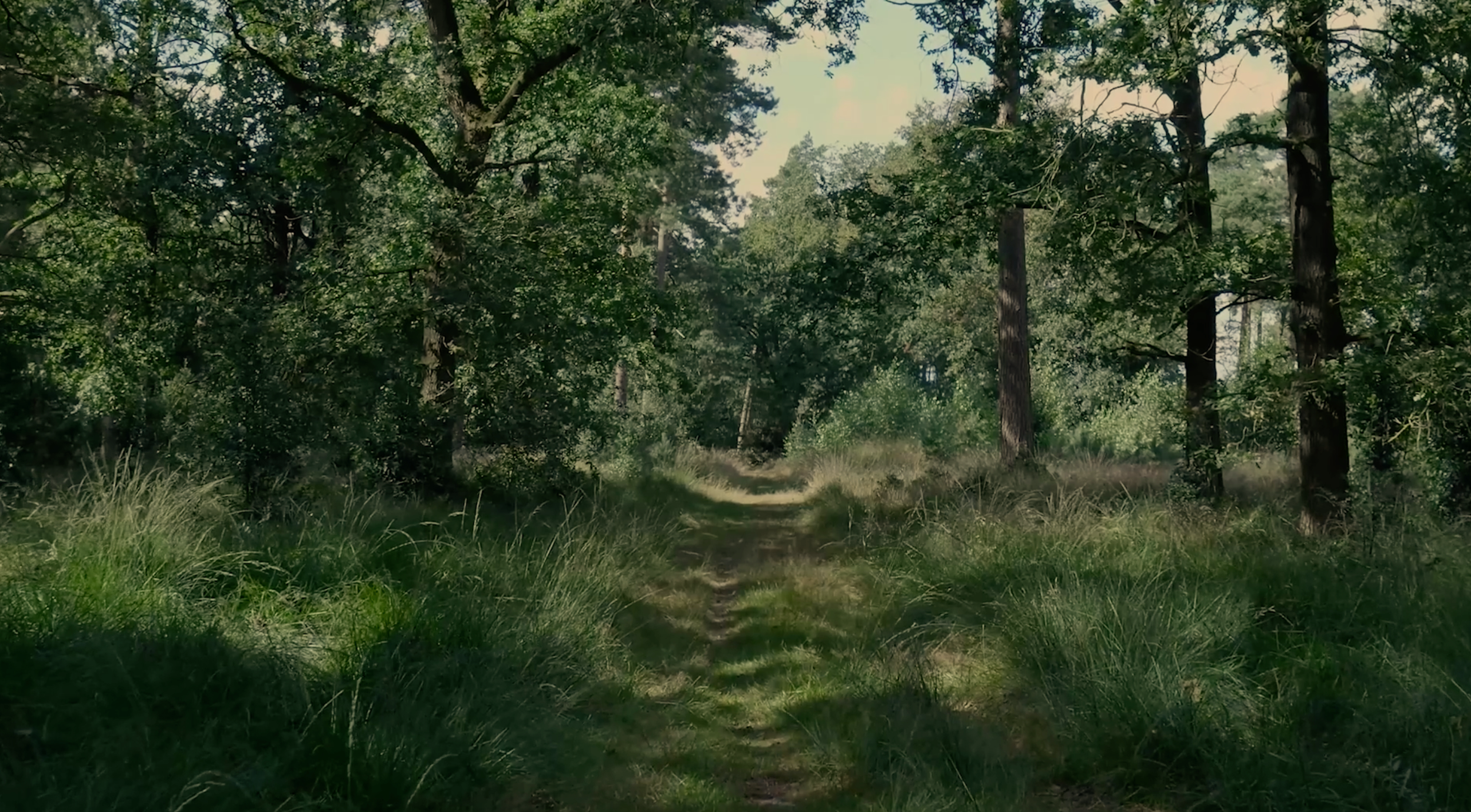 Screenshot 2026-01-17 at 12.25.36 PM.png