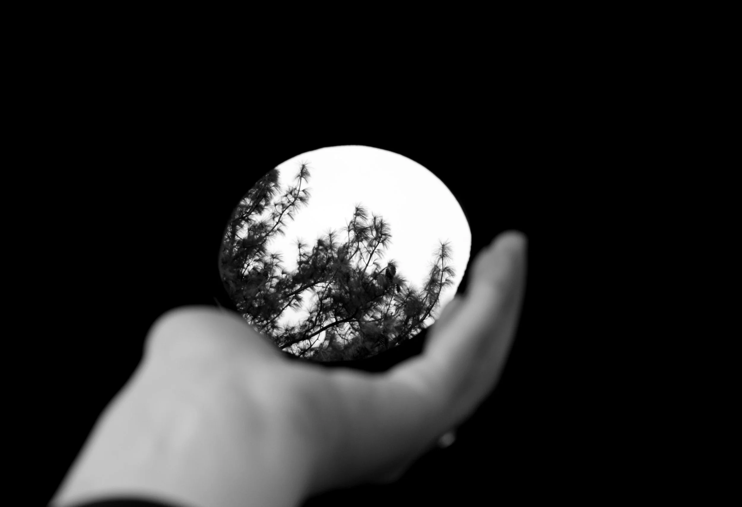 Paris Graveyard (2015)