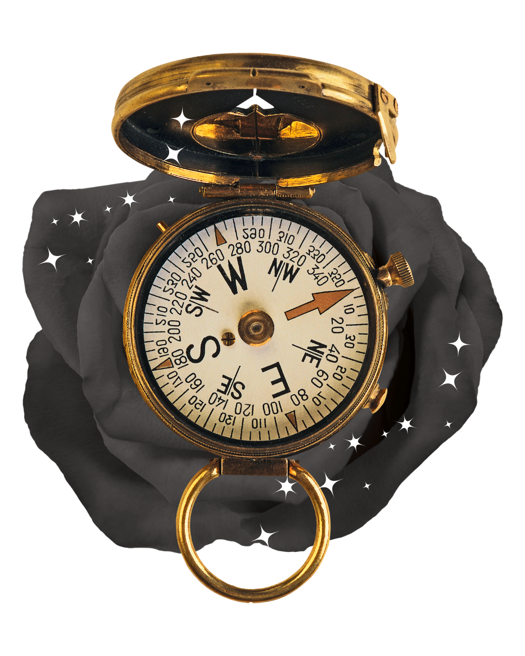 A collage of a compass on top of a black rose with white sparkles.