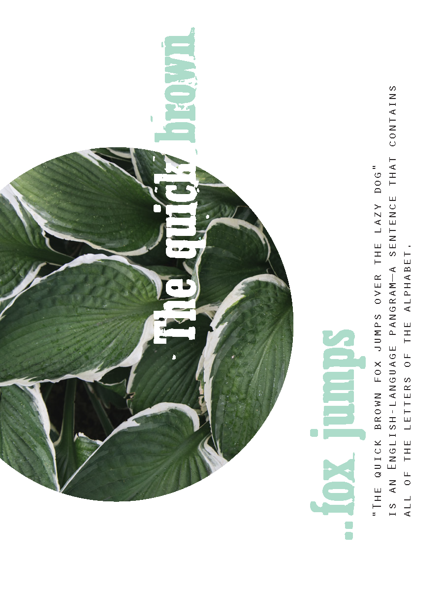 Zine_PageDesign_Page_02.png