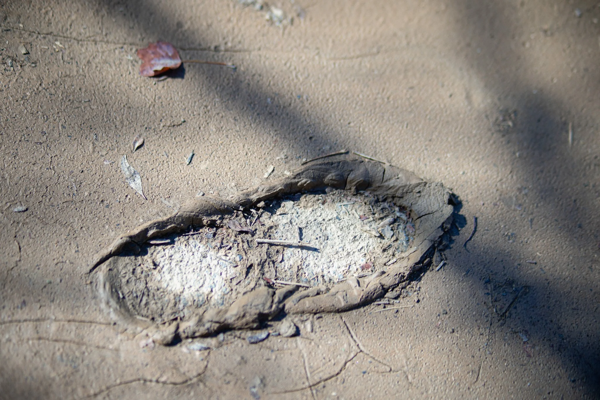 Learning from Camp Mystic: Six Lessons for Outdoor Programs