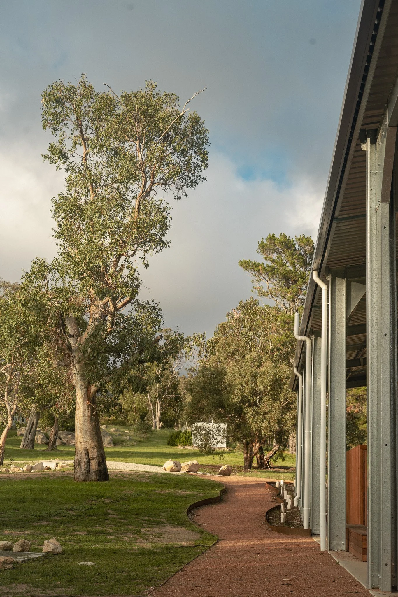 A peaceful park scene with tall trees, a green grassy area, rocks, a dirt pathway, and a building with metal and wood siding along the right side.