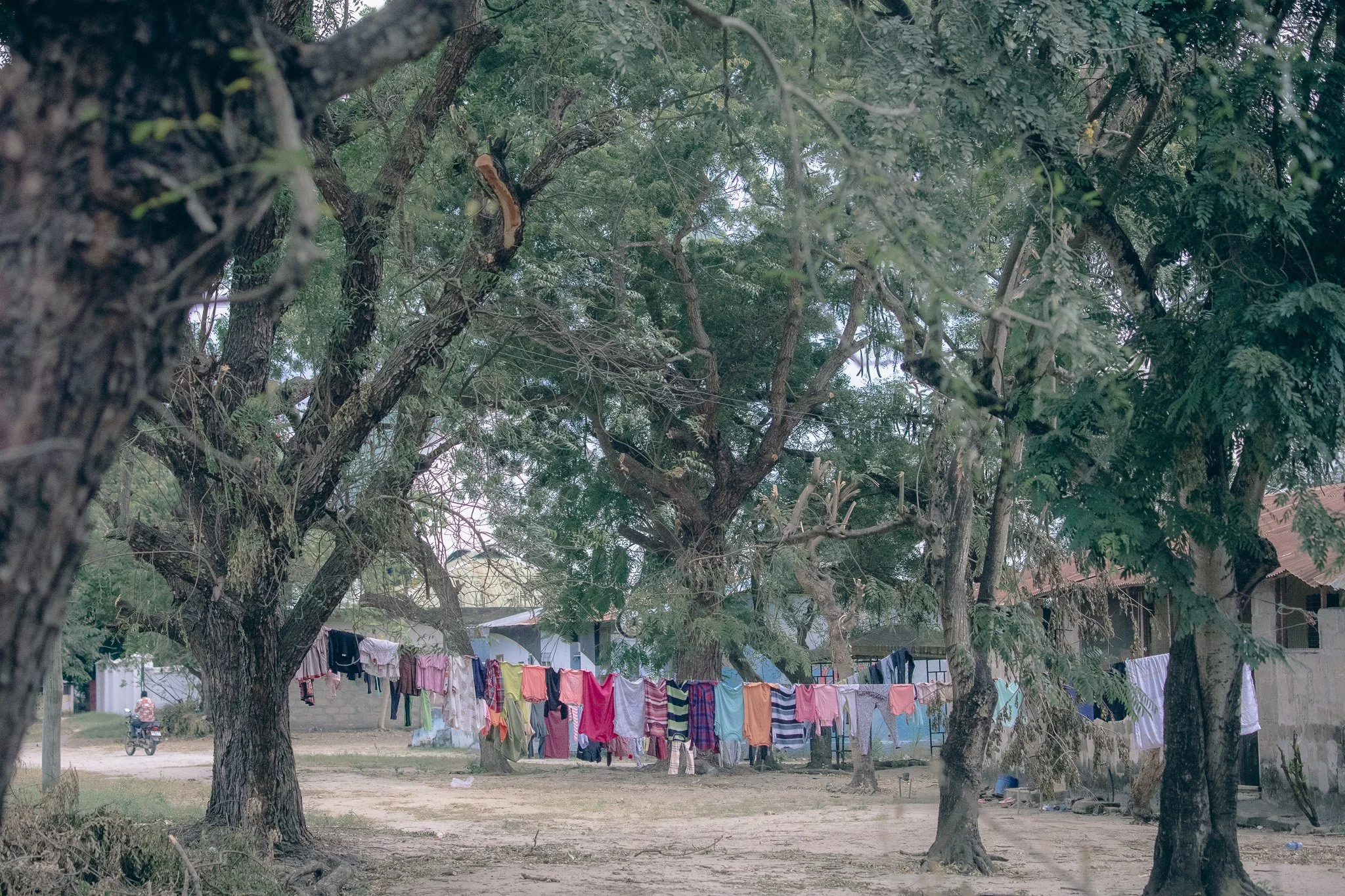 Clothes hanging on line in a rustic outdoor setting with trees and a dirt path, in a rural area.