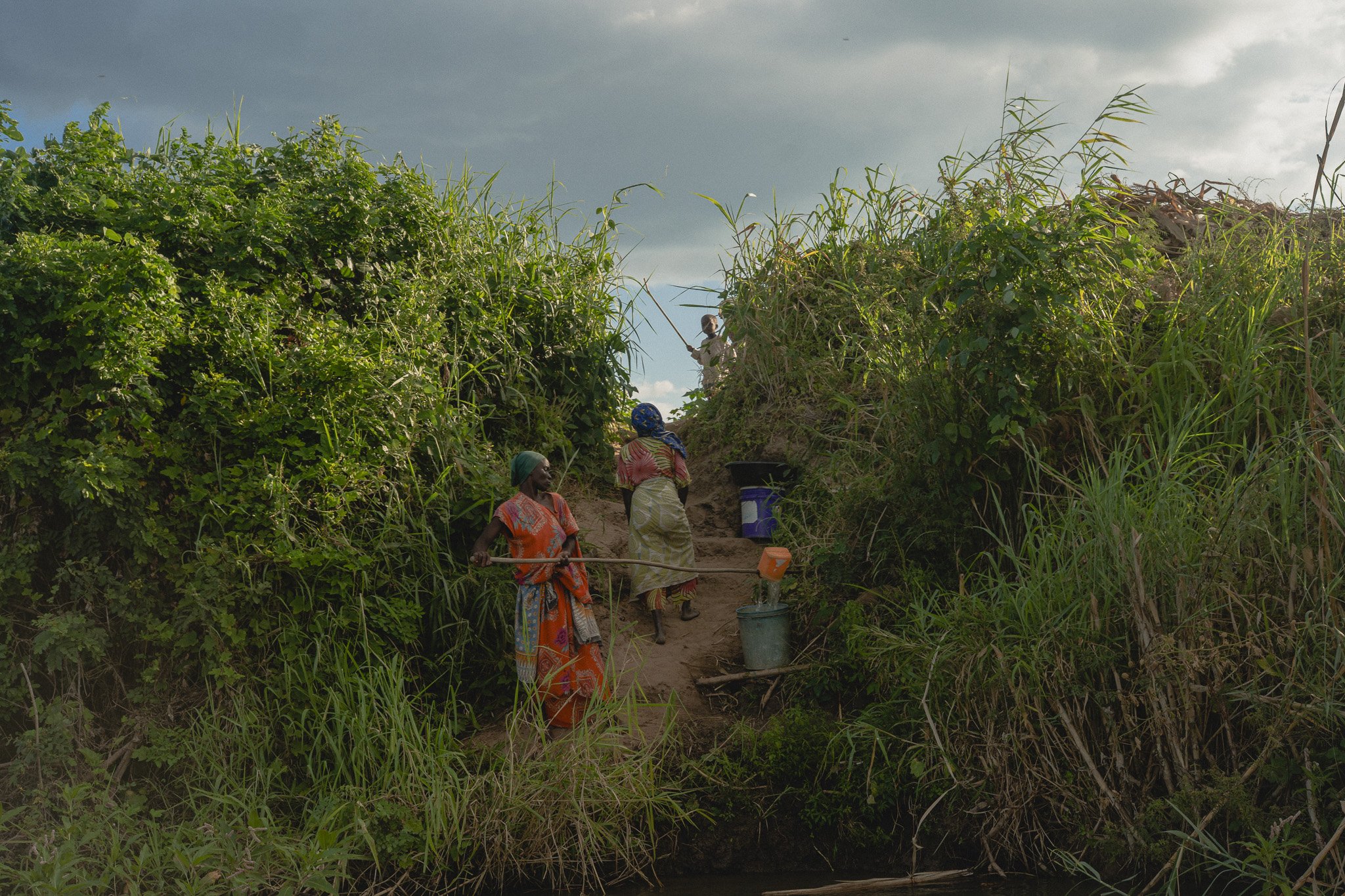 Three women collecting water from a river, surrounded by tall green grass and bushes, on a cloudy day.